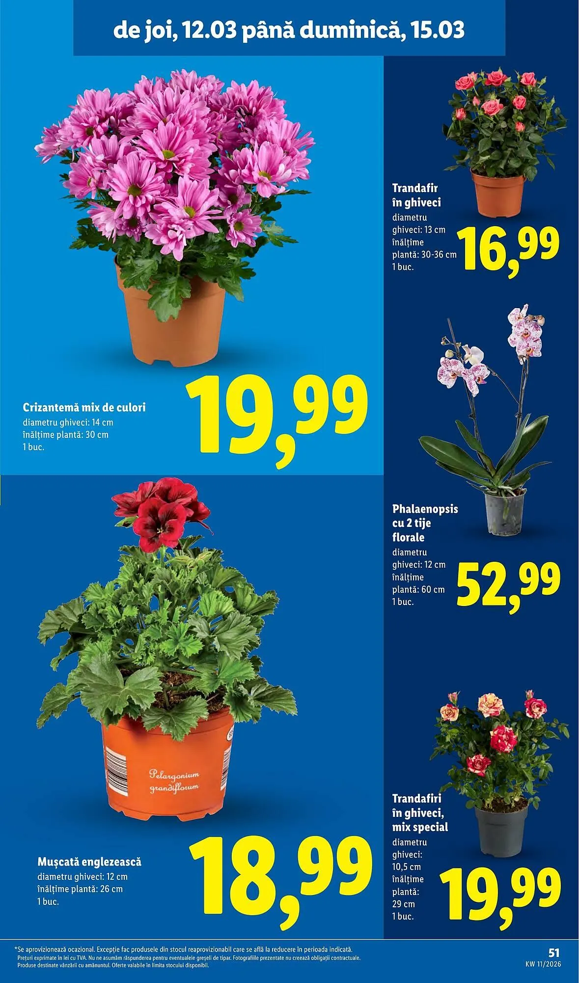 Catalog Catalog Lidl de la 9 martie până la 15 martie 2026 - Revista Pagina 51