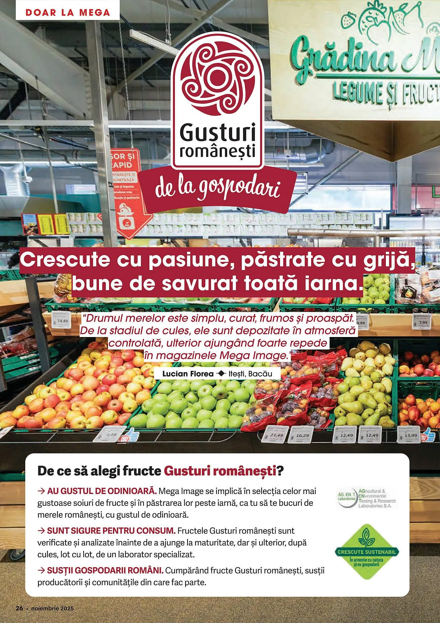Catalog Catalog Mega Image de la 1 noiembrie până la 30 noiembrie 2025 - Revista Pagina 26