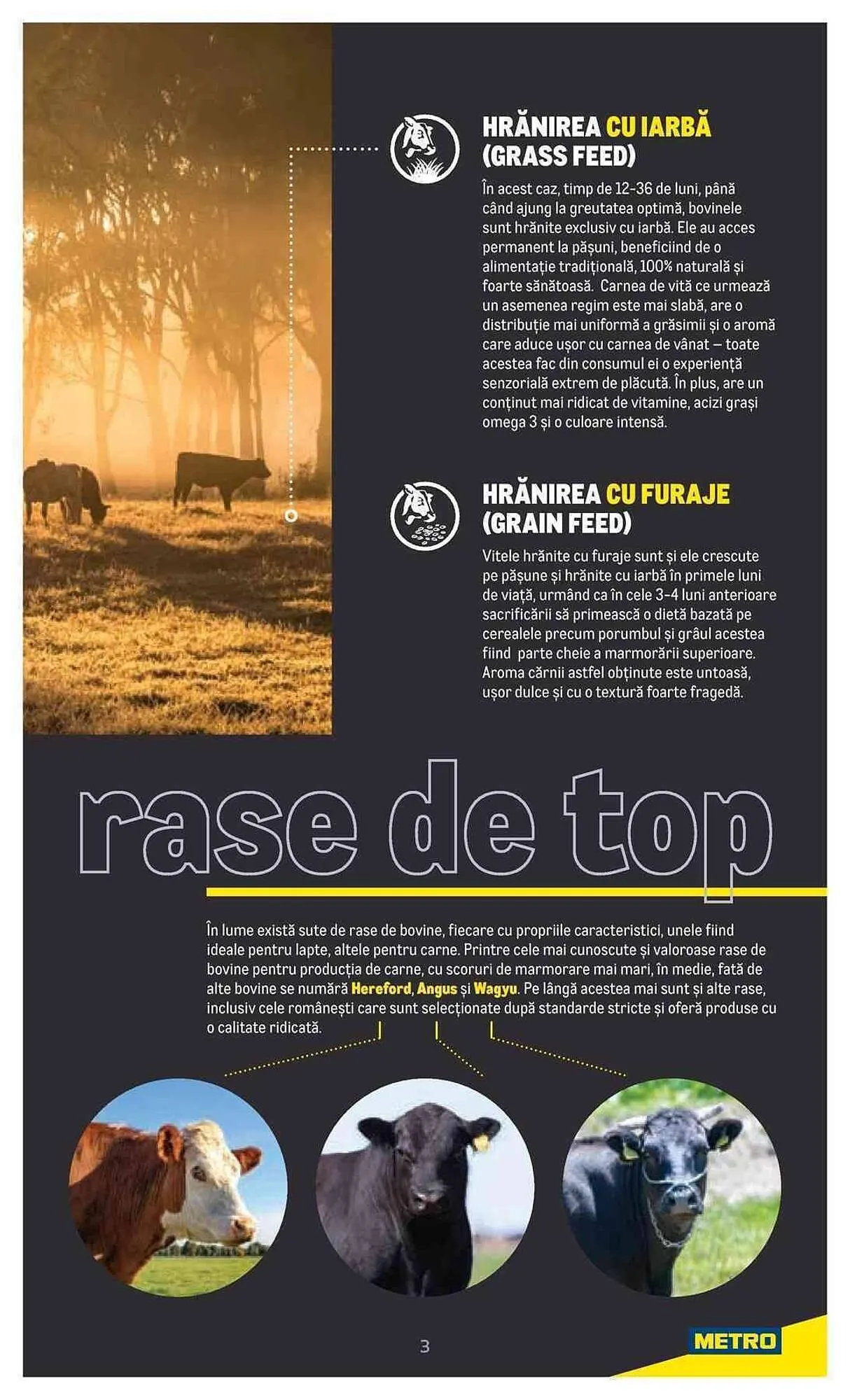Catalog Metro catalog de la 20 iulie până la 31 decembrie 2023 - Revista Pagina 3