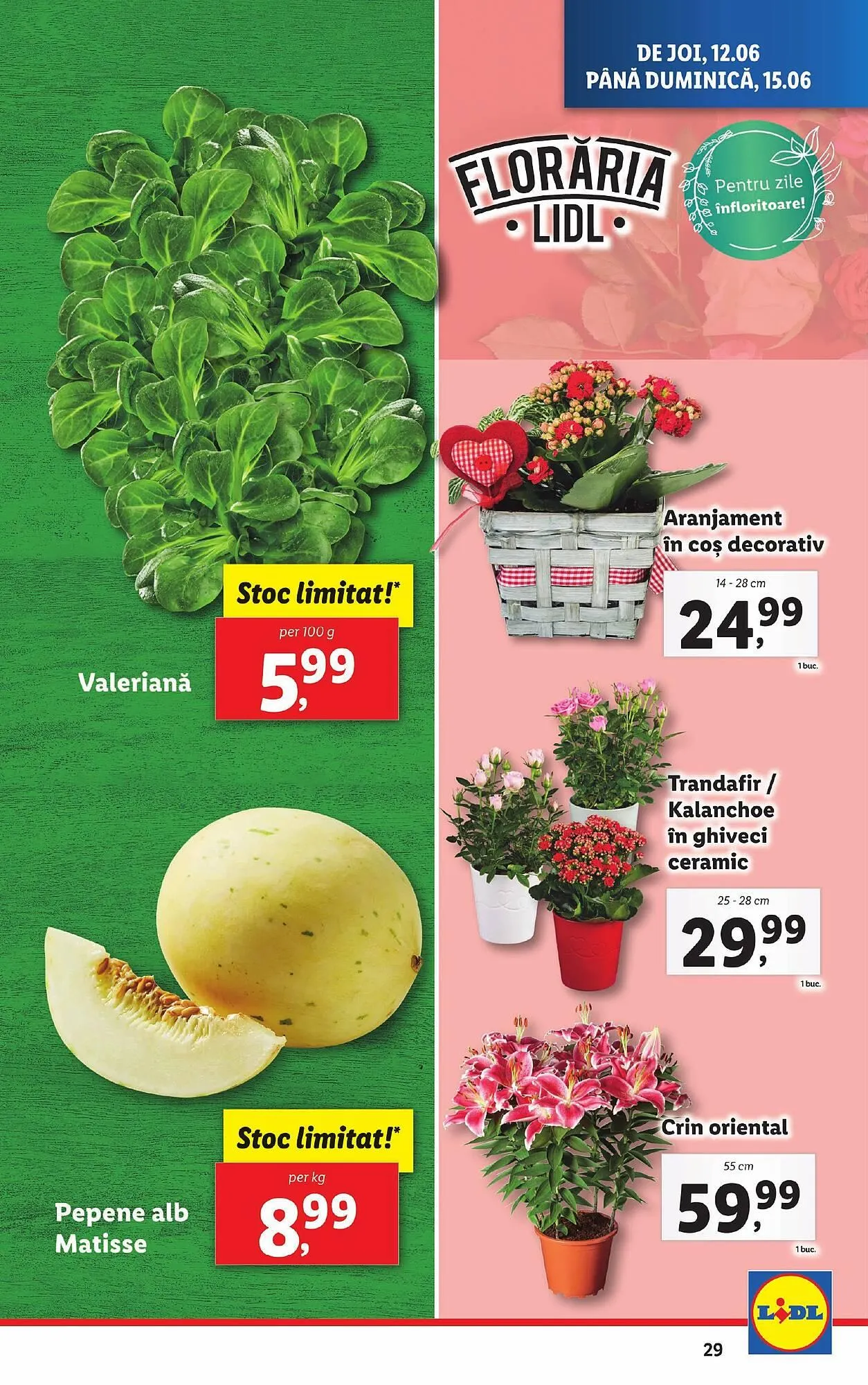 Catalog Catalog Lidl de la 9 iunie până la 15 iunie 2025 - Revista Pagina 29