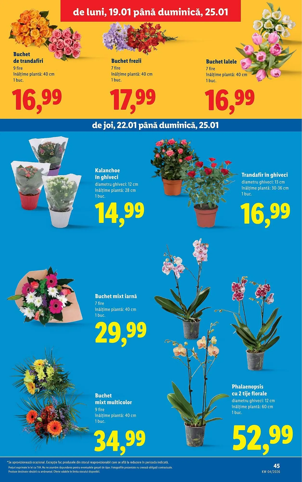 Catalog Catalog Lidl de la 19 ianuarie până la 25 ianuarie 2026 - Revista Pagina 45