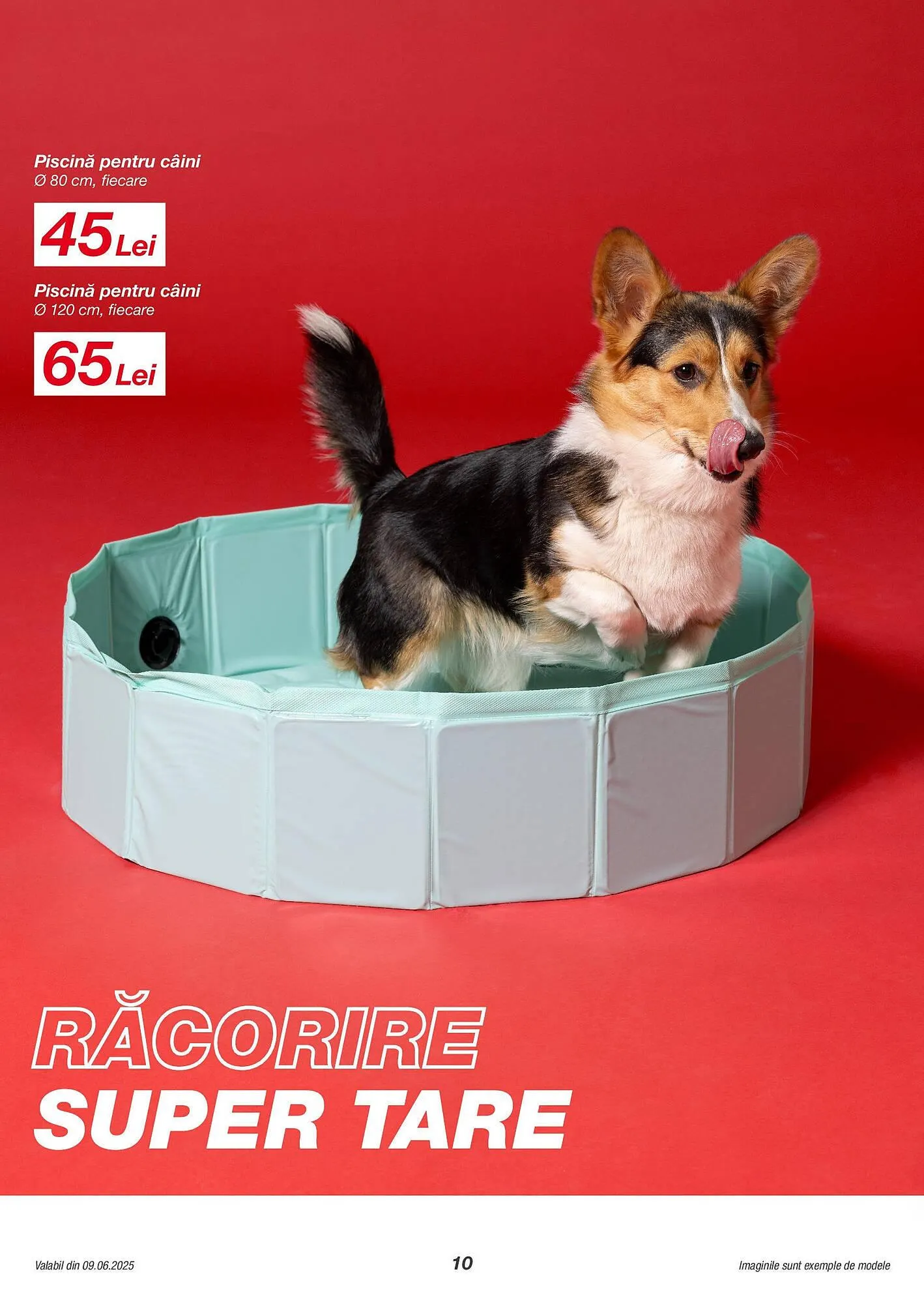 Catalog Catalog Kik de la 9 iunie până la 15 august 2025 - Revista Pagina 10