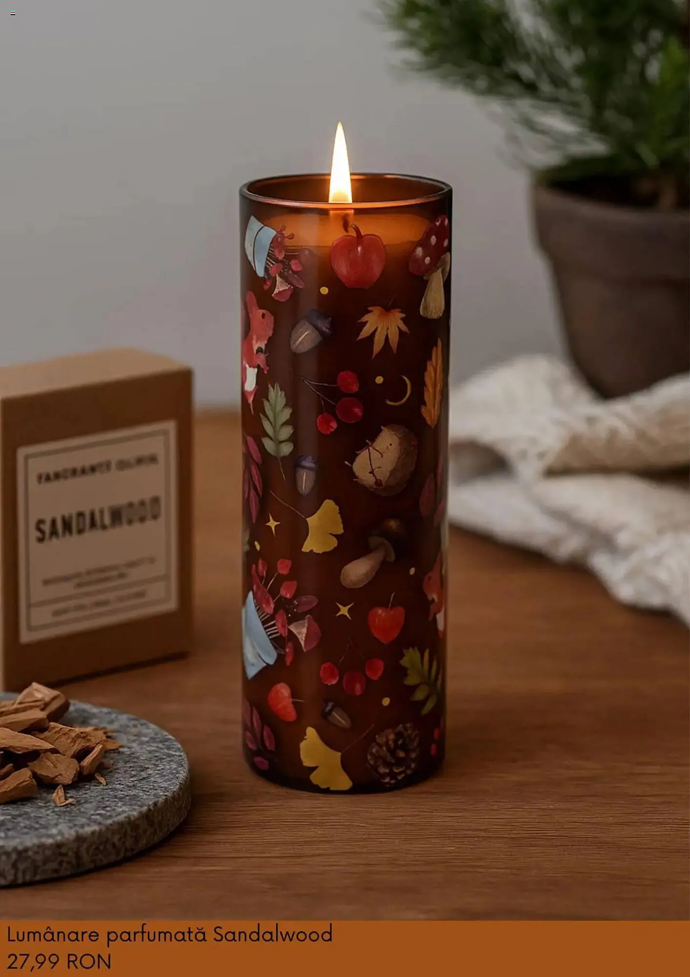 Catalog Catalog Sinsay de la 3 septembrie până la 6 octombrie 2025 - Revista Pagina 9