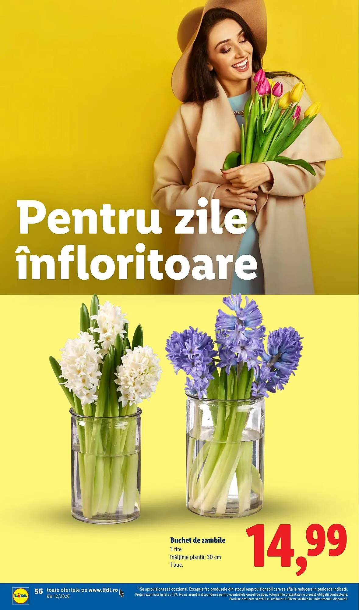 Catalog Catalog Lidl de la 16 martie până la 22 martie 2026 - Revista Pagina 56