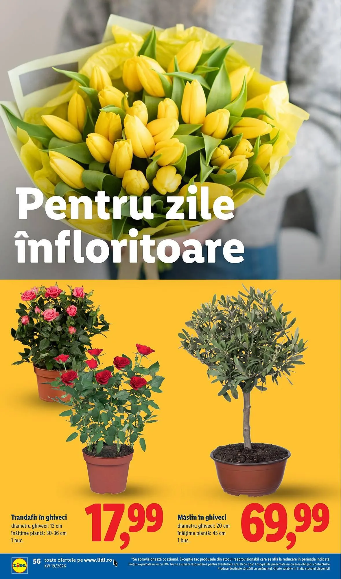 Catalog Catalog Lidl de la 4 mai până la 10 mai 2026 - Revista Pagina 56