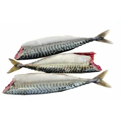 Macrou Trunchi Scomber Scombrus Calibru 150-350g Congelat ❄