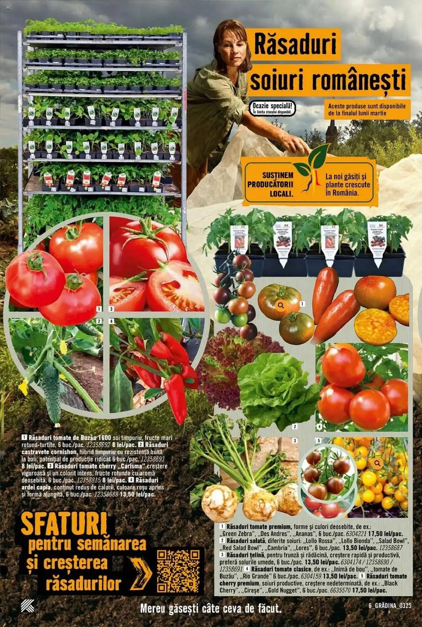 Catalog Catalog Hornbach de la 17 martie până la 25 aprilie 2025 - Revista Pagina 6