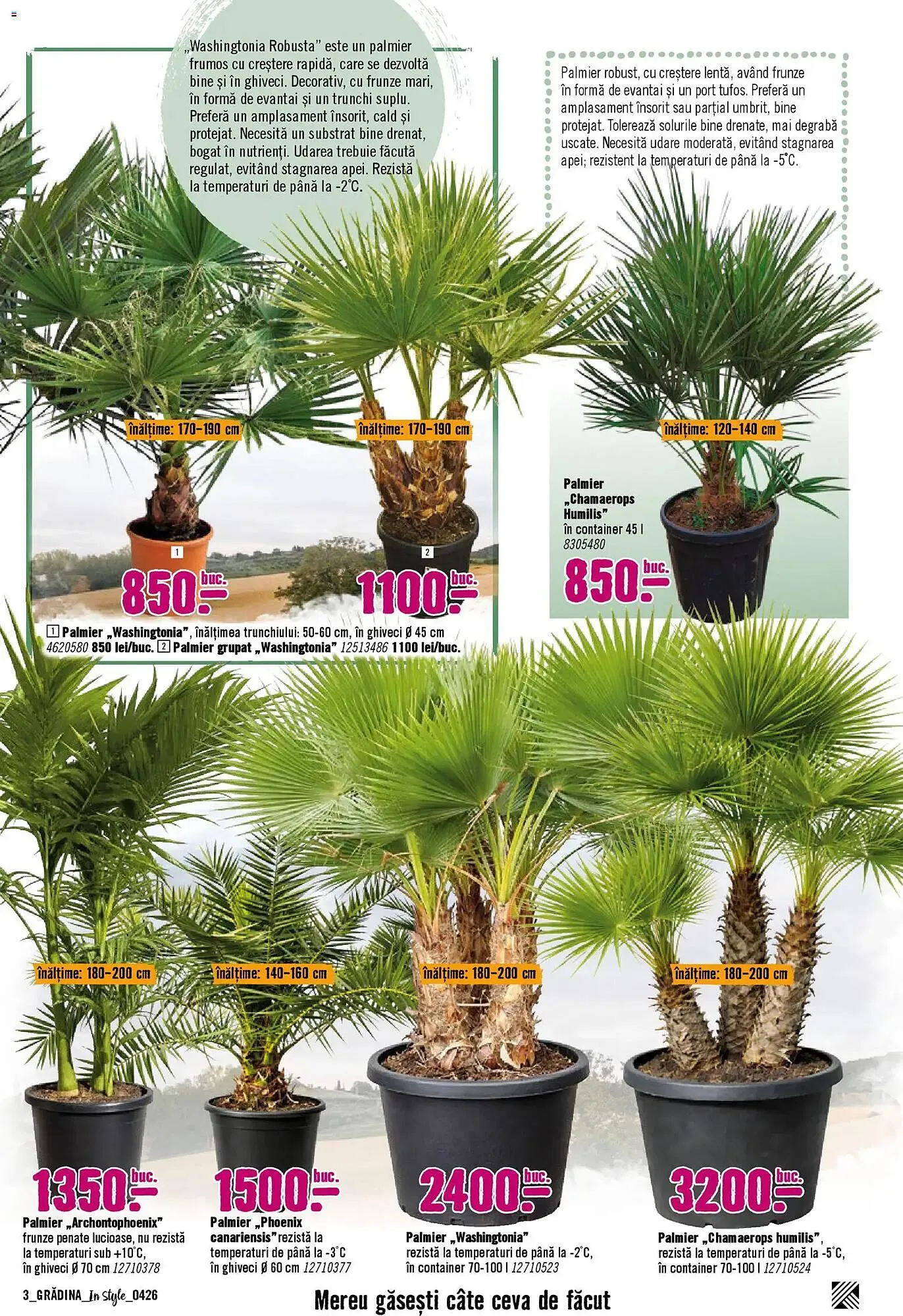 Catalog Magazine Hornbach de la 5 aprilie până la 31 mai 2026 - Revista Pagina 3