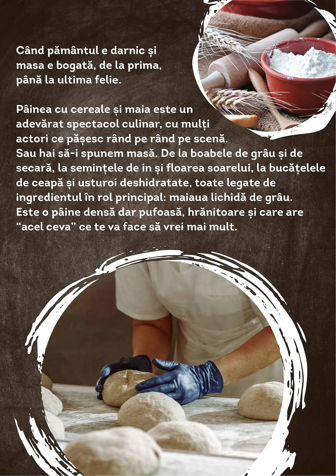 Catalog Cora catalog de la 12 iunie până la 31 decembrie 2023 - Revista Pagina 23