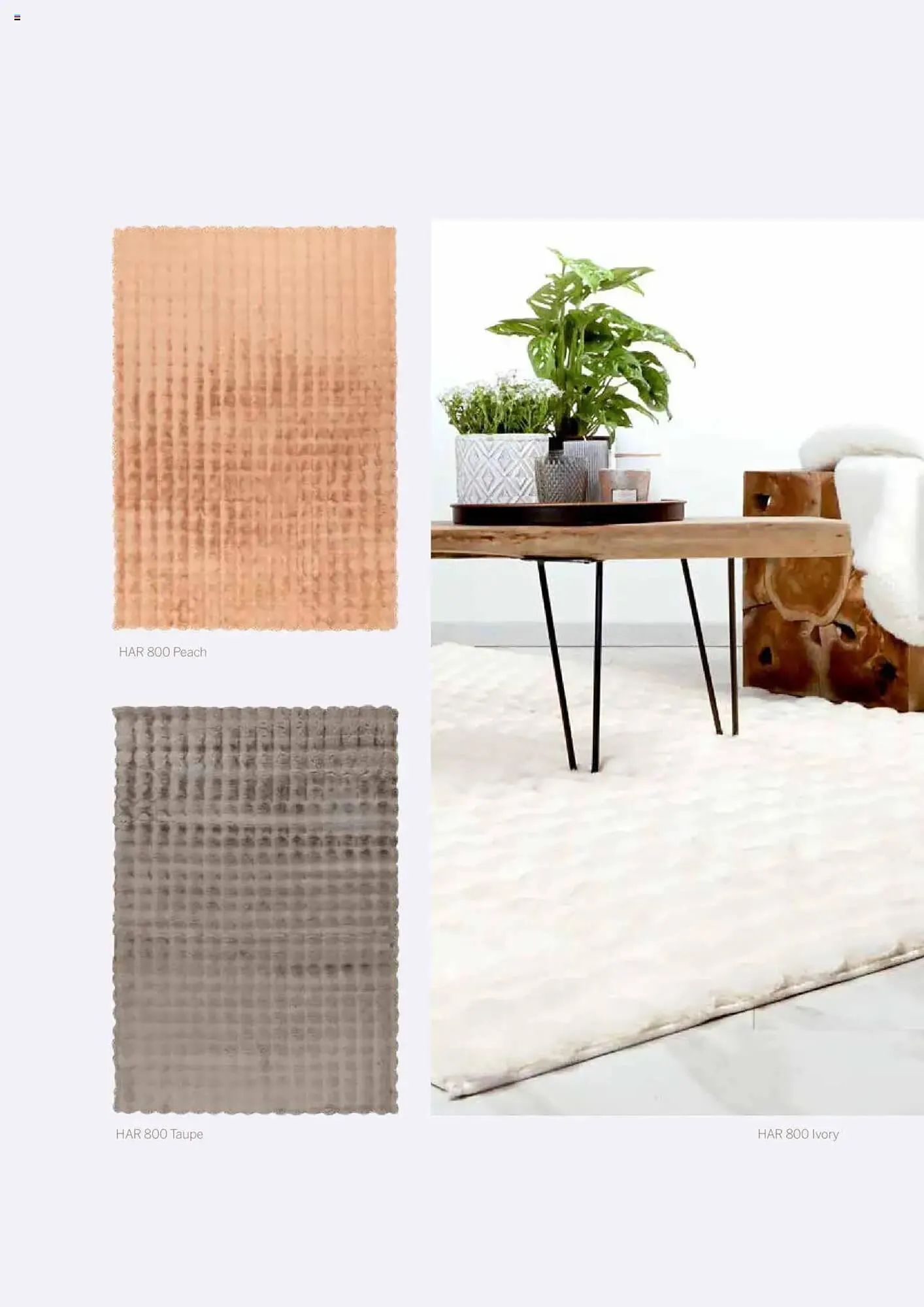 Catalog Catalog Proges de la 11 decembrie până la 31 decembrie 2025 - Revista Pagina 20