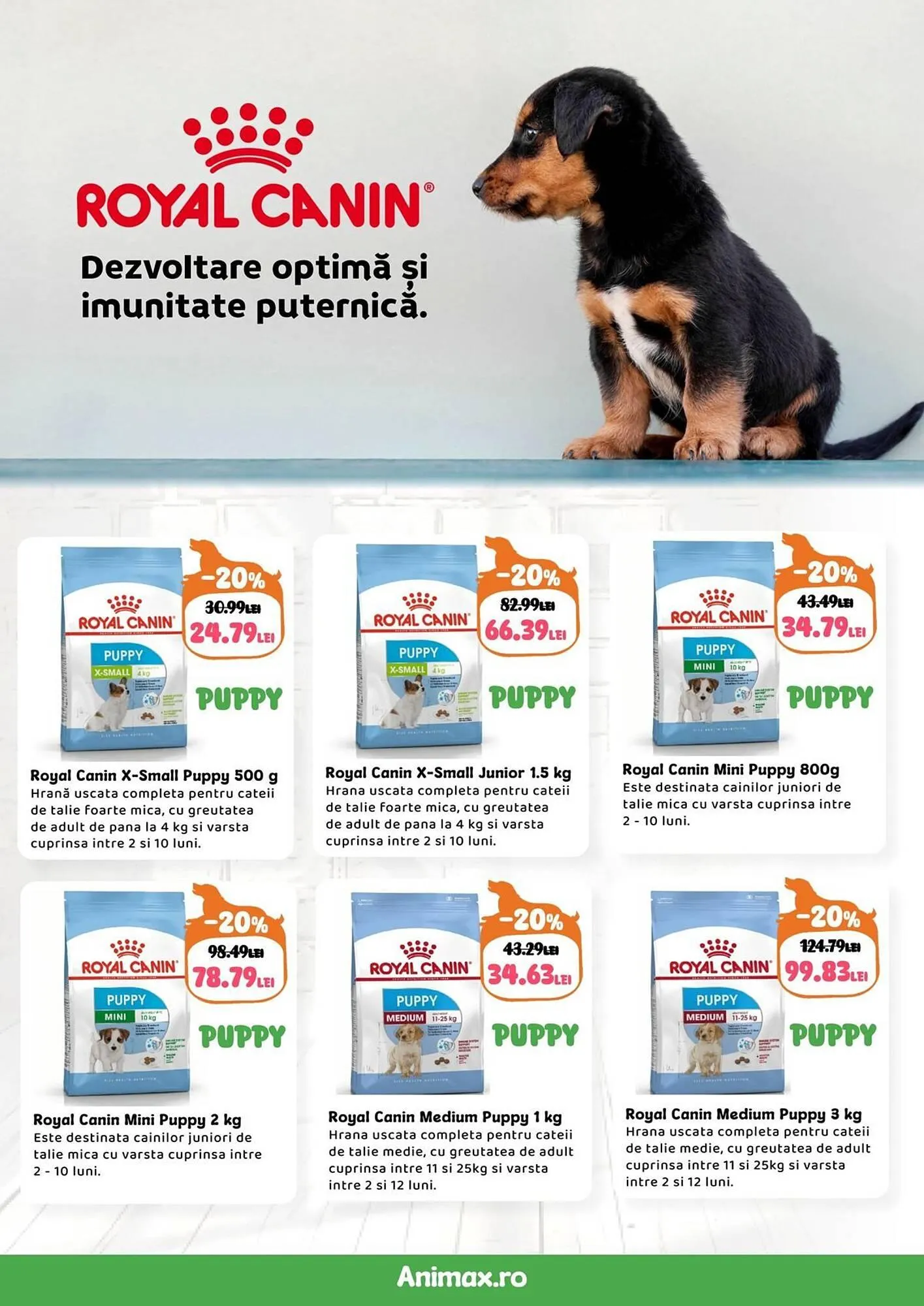 Catalog Magazine Animax de la 2 februarie până la 1 martie 2026 - Revista Pagina 6