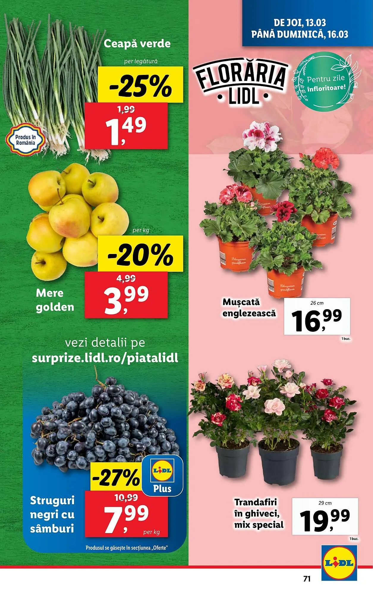 Catalog Catalog Lidl de la 10 martie până la 16 martie 2025 - Revista Pagina 71