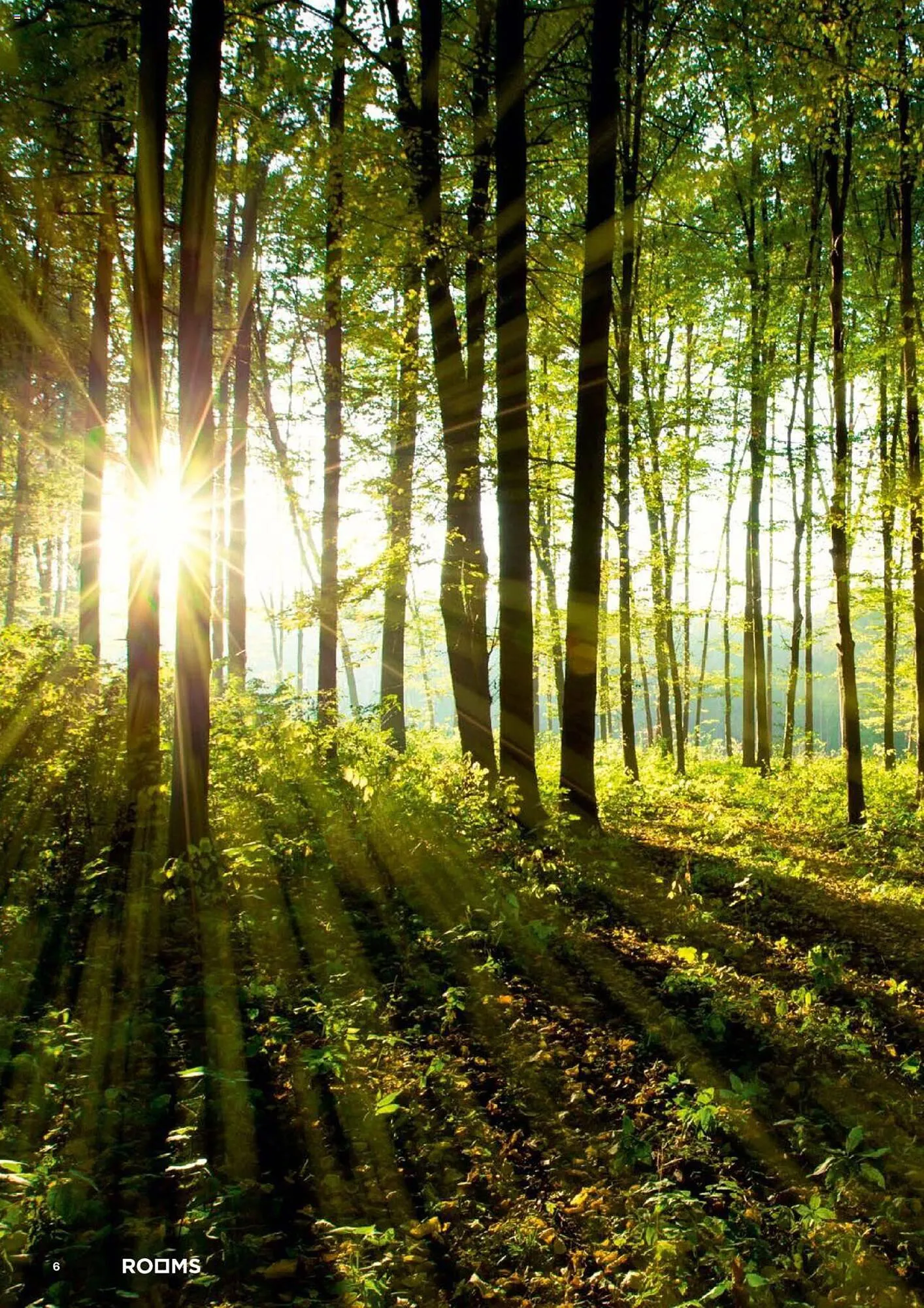 Catalog Proges catalog de la 18 septembrie până la 31 decembrie 2023 - Revista Pagina 6