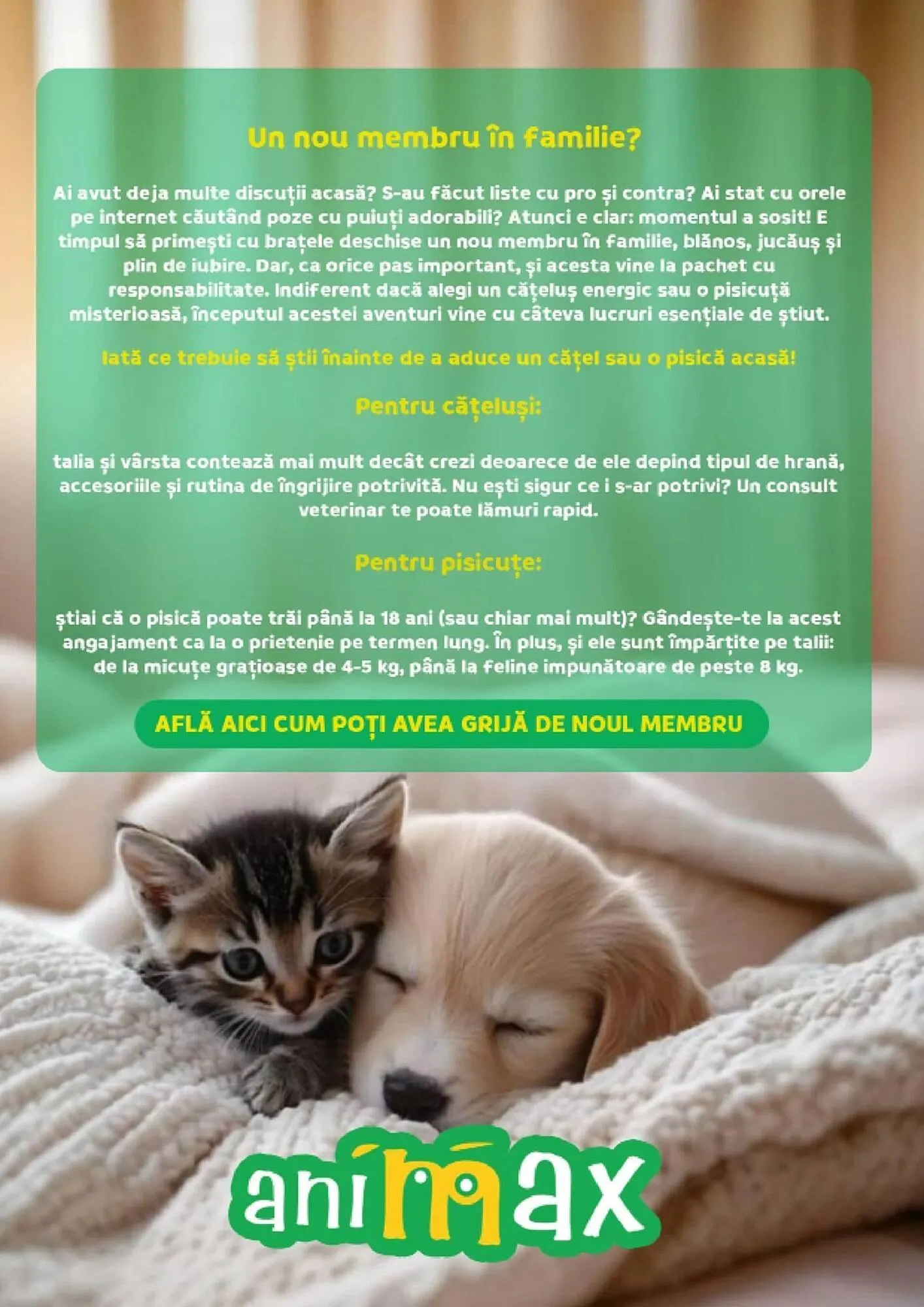 Catalog Magazine Animax de la 4 decembrie până la 4 ianuarie 2026 - Revista Pagina 14