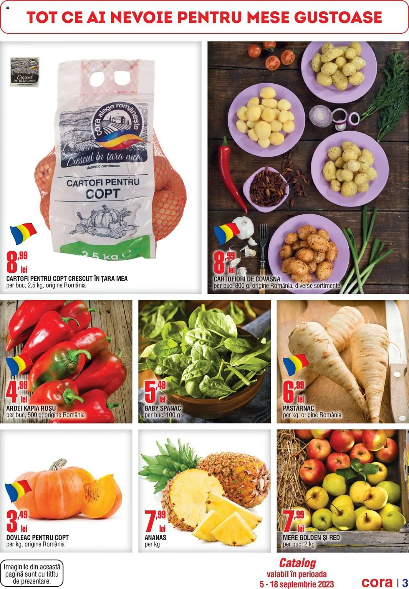 Catalog Cora catalog de la 5 septembrie până la 18 septembrie 2023 - Revista Pagina 3