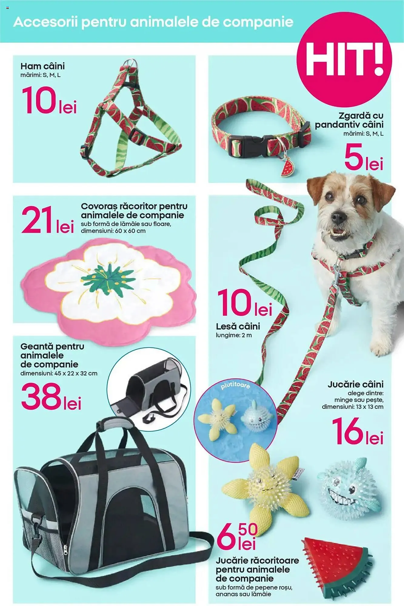 Catalog Catalog Pepco de la 4 iunie până la 18 iunie 2025 - Revista Pagina 9