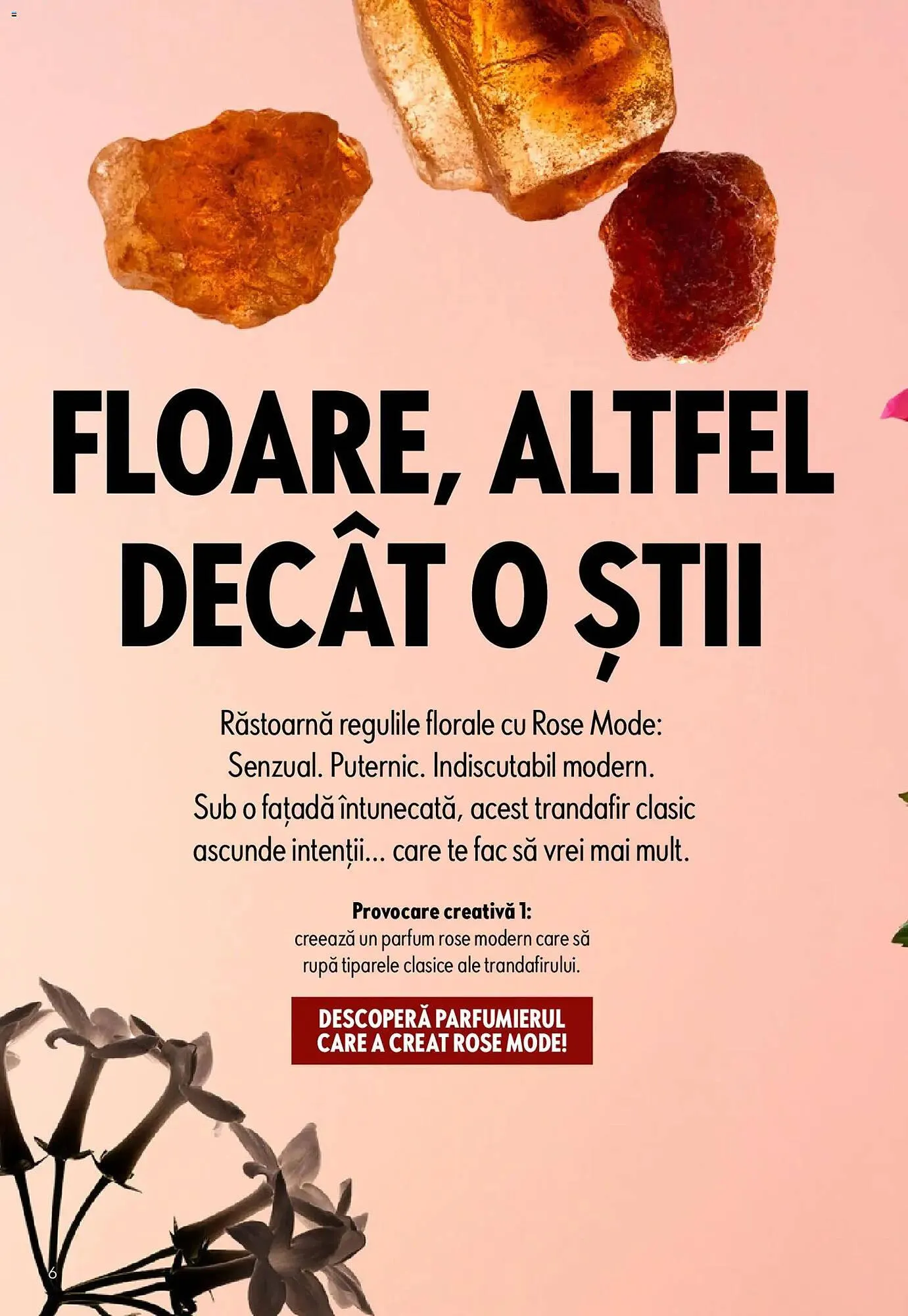 Catalog Catalog Oriflame de la 14 aprilie până la 5 mai 2026 - Revista Pagina 6