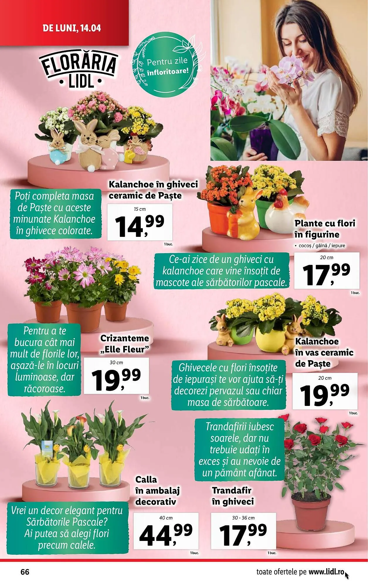 Catalog Catalog Lidl de la 14 aprilie până la 19 aprilie 2025 - Revista Pagina 66