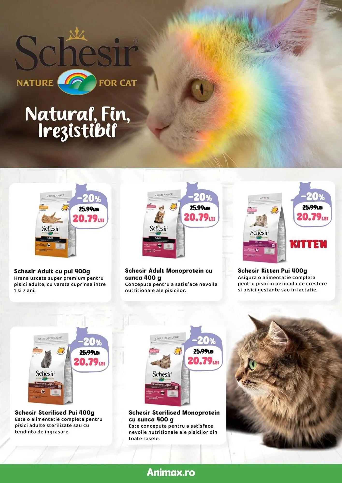 Catalog Magazine Animax de la 1 octombrie până la 31 octombrie 2025 - Revista Pagina 17