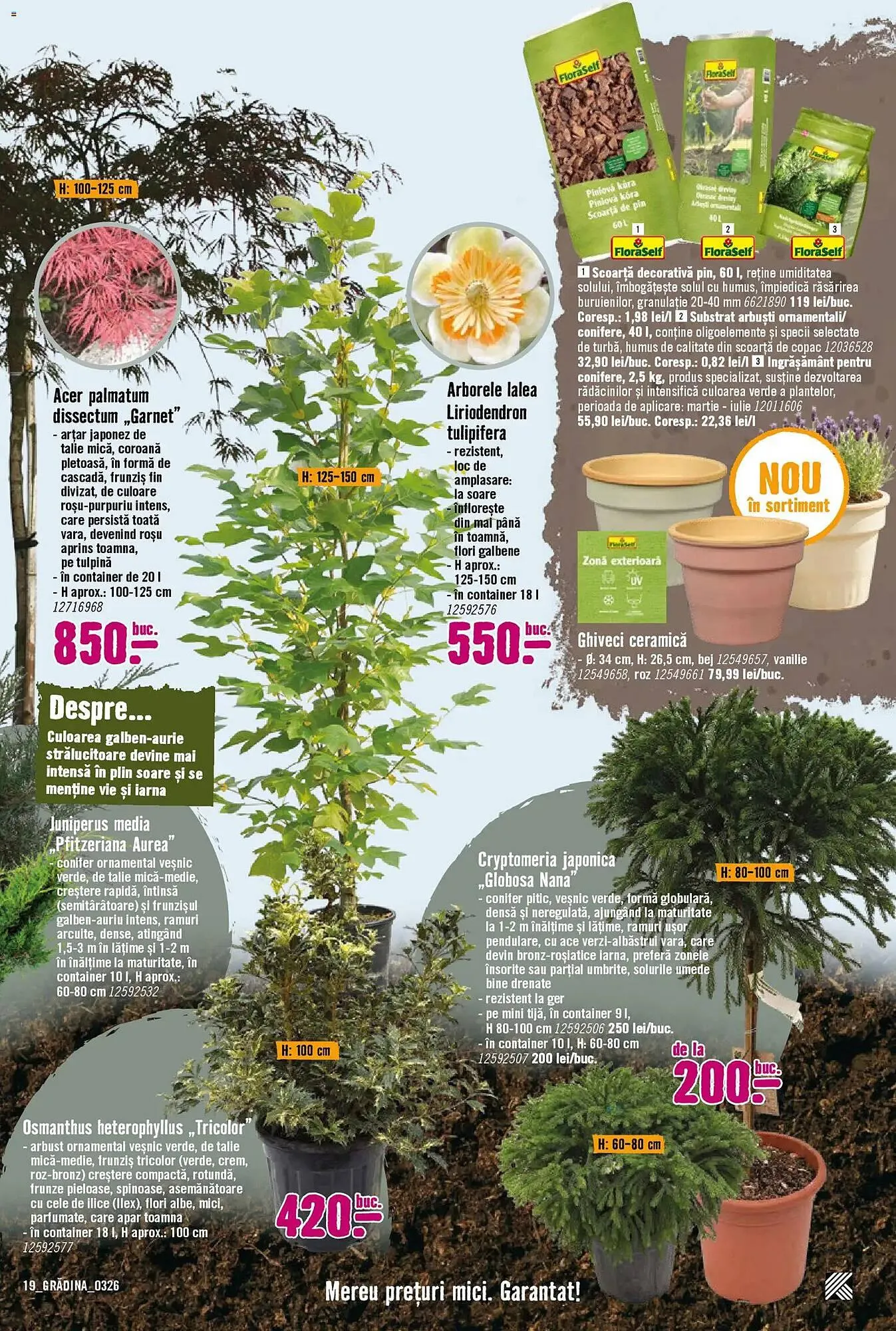 Catalog Magazine Hornbach de la 22 martie până la 22 aprilie 2026 - Revista Pagina 19