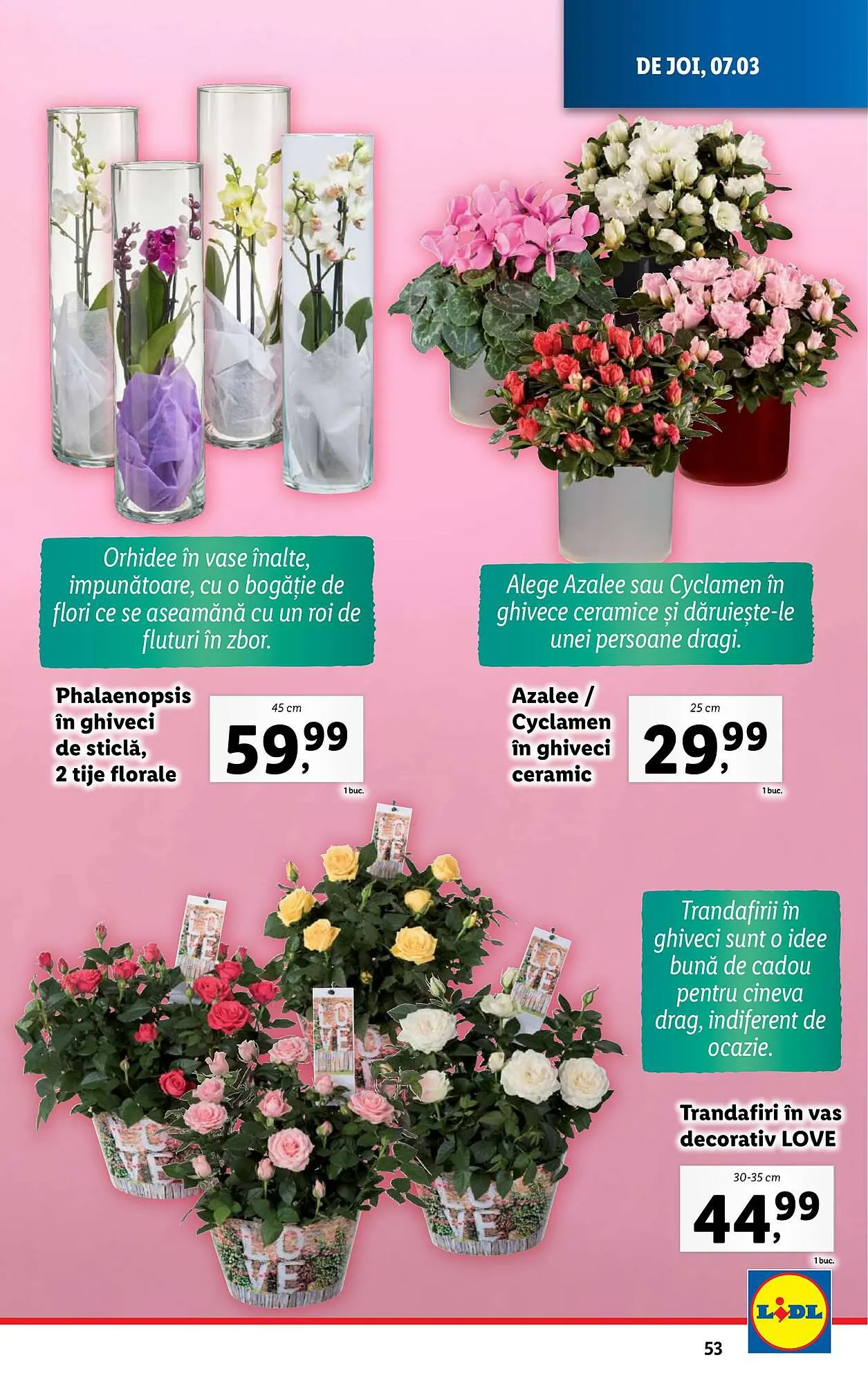 Catalog Lidl catalog de la 4 martie până la 10 martie 2024 - Revista Pagina 53