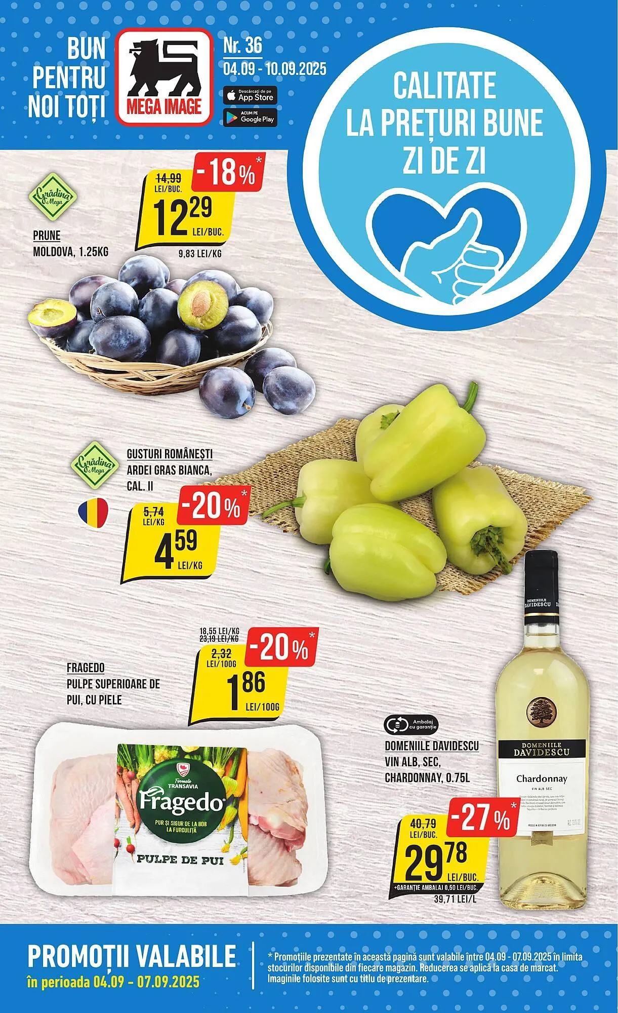 Catalog Mega Image - 1