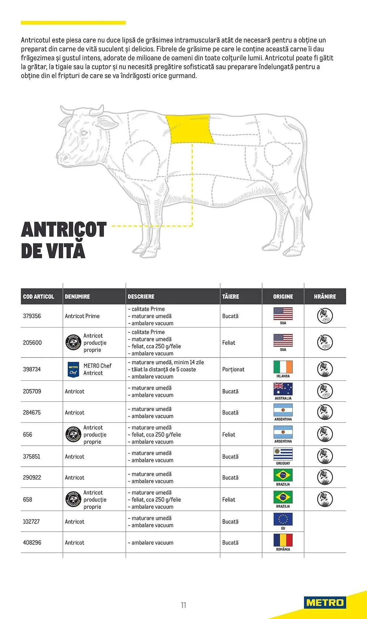 Catalog Catalog Metro de la 9 aprilie până la 31 decembrie 2025 - Revista Pagina 11