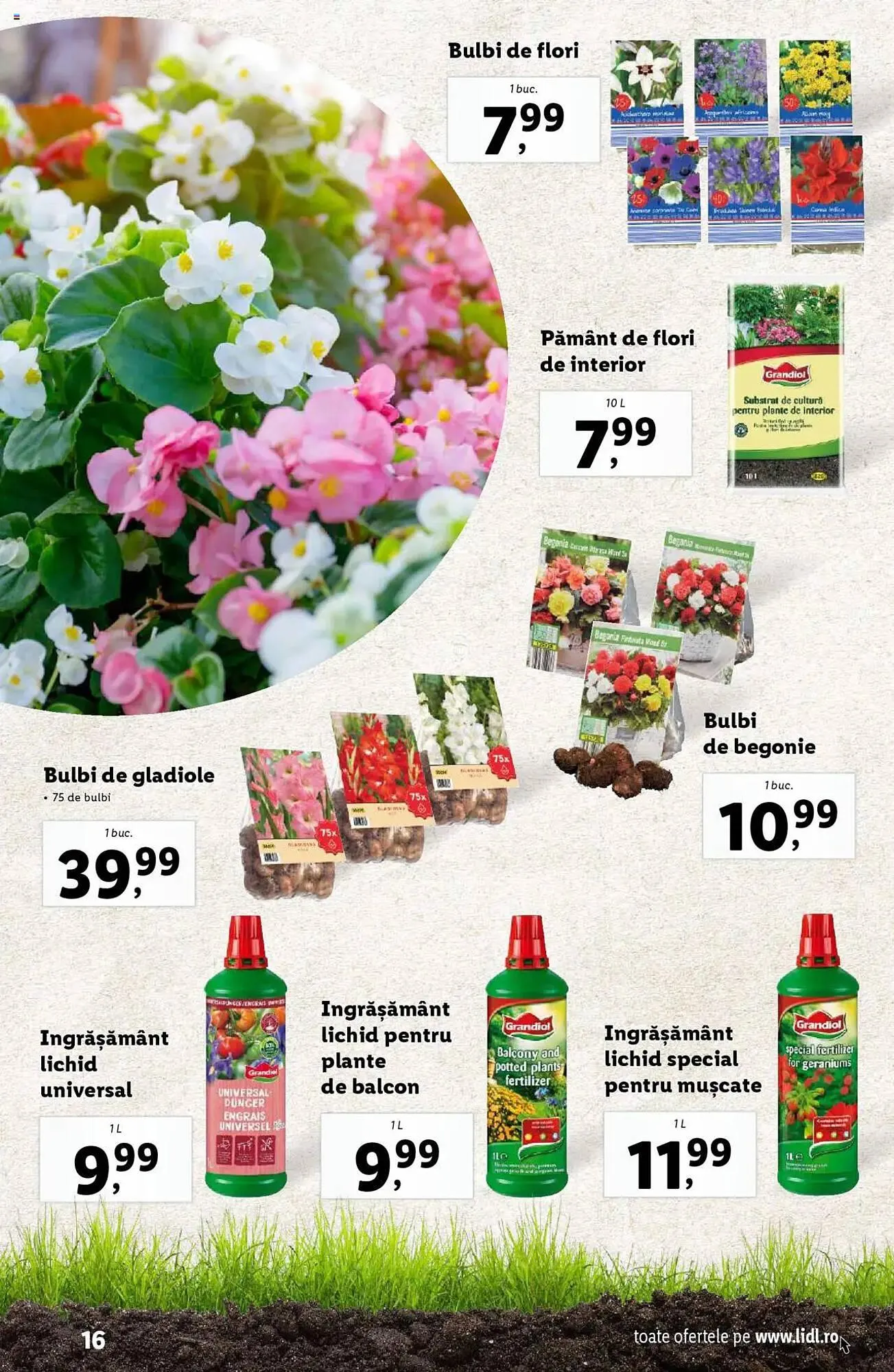 Catalog Catalog Lidl de la 24 februarie până la 13 aprilie 2025 - Revista Pagina 16