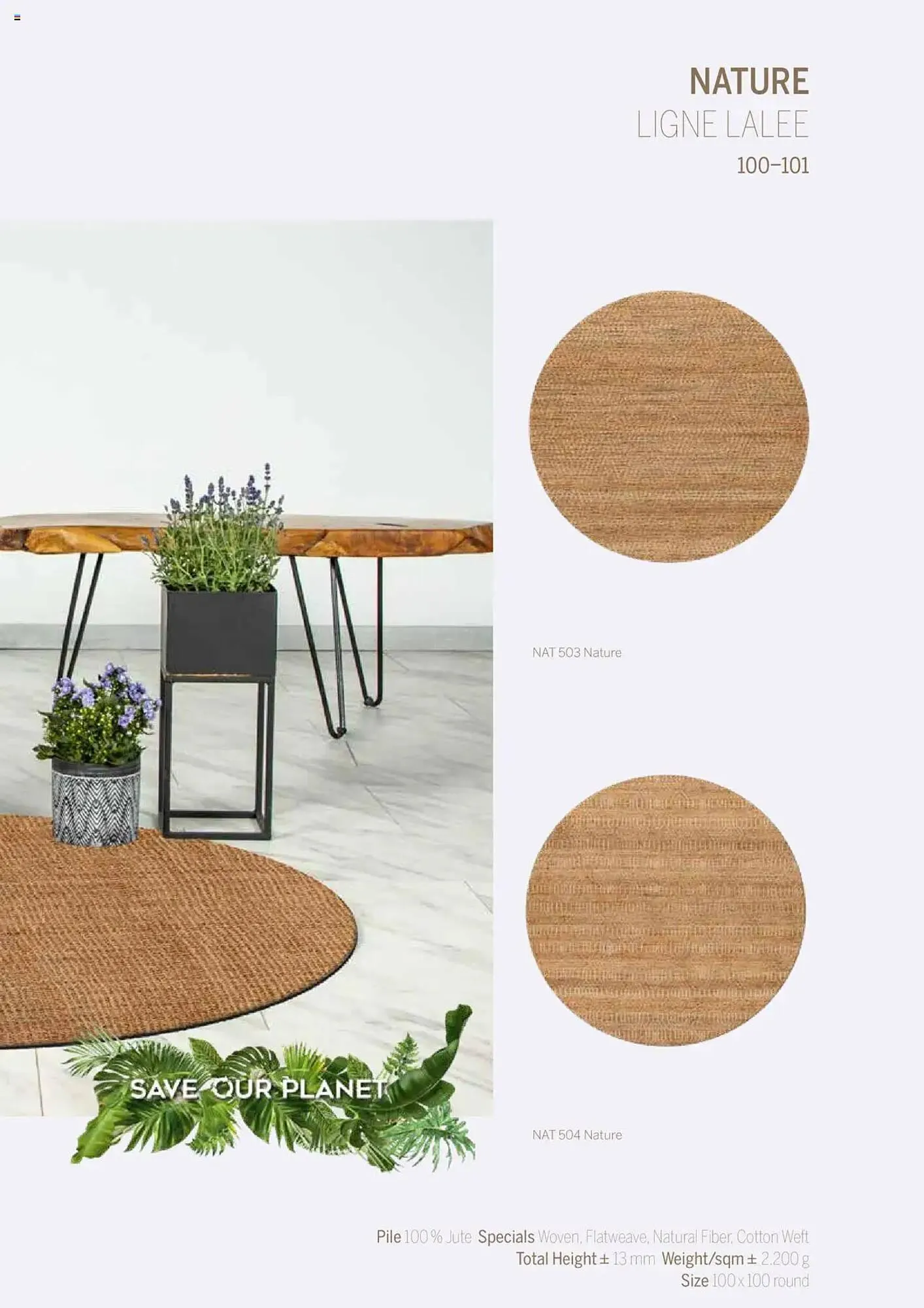 Catalog Catalog Proges de la 11 decembrie până la 31 decembrie 2025 - Revista Pagina 101