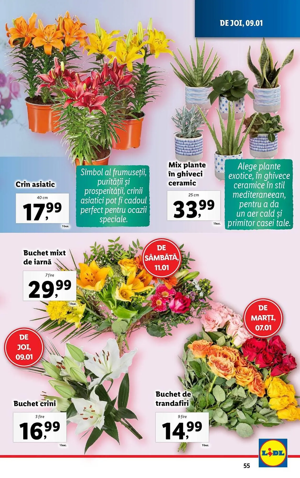 Catalog Catalog Lidl de la 6 ianuarie până la 12 ianuarie 2025 - Revista Pagina 55