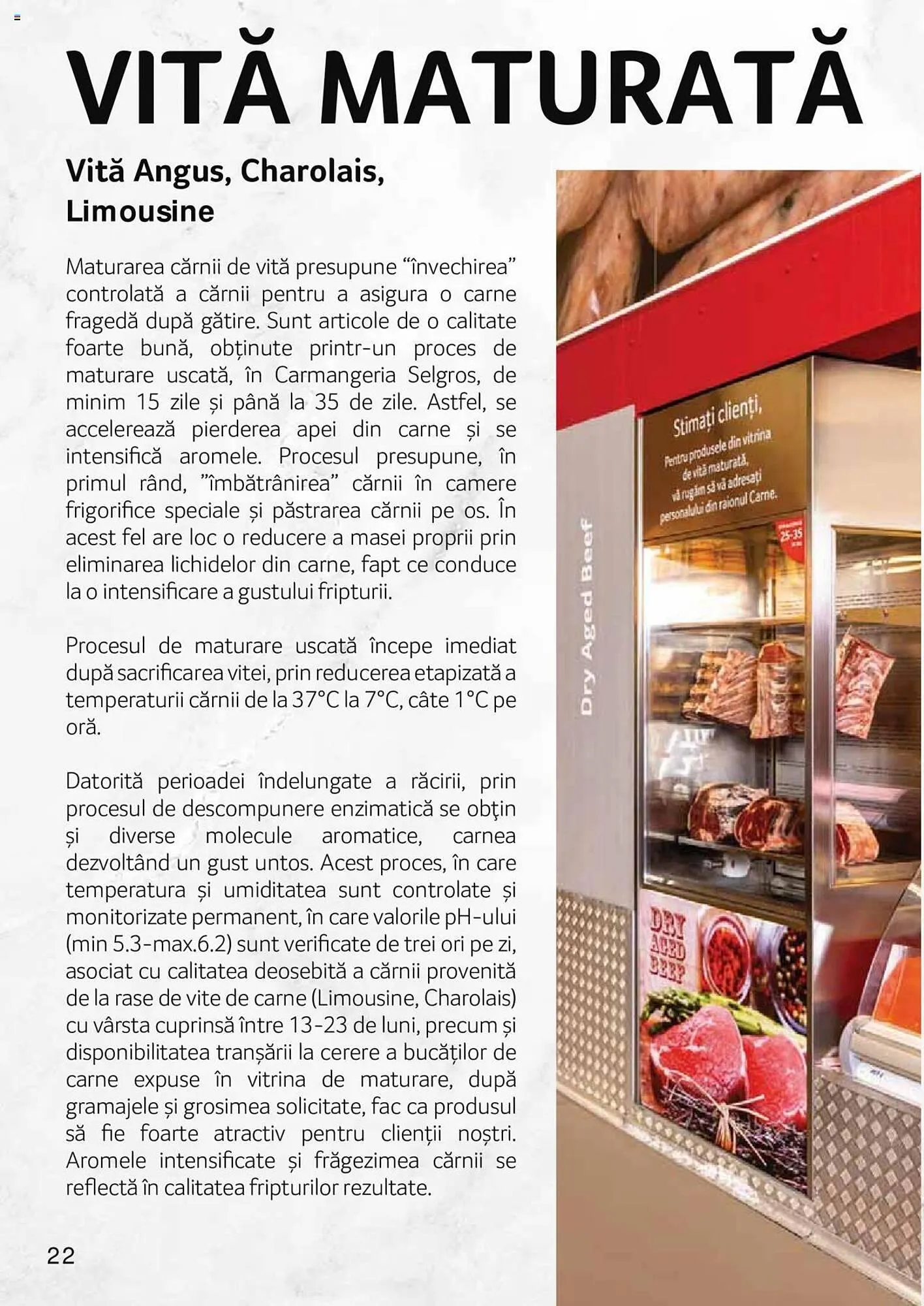 Catalog Selgros catalog de la 27 aprilie până la 31 decembrie 2023 - Revista Pagina 22