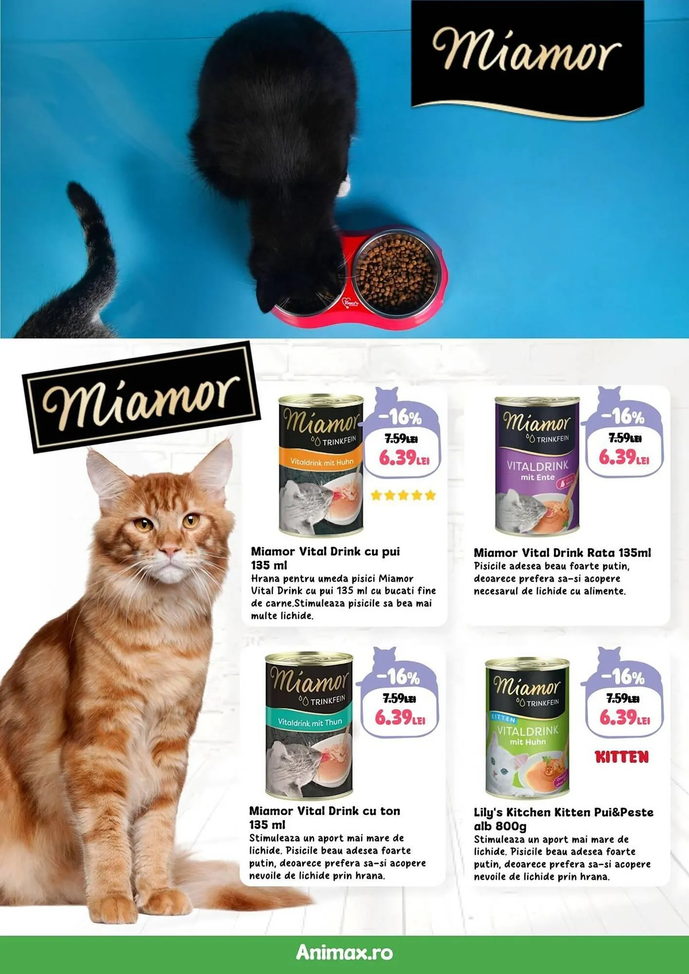 Catalog Catalog Animax de la 1 aprilie până la 30 aprilie 2025 - Revista Pagina 22