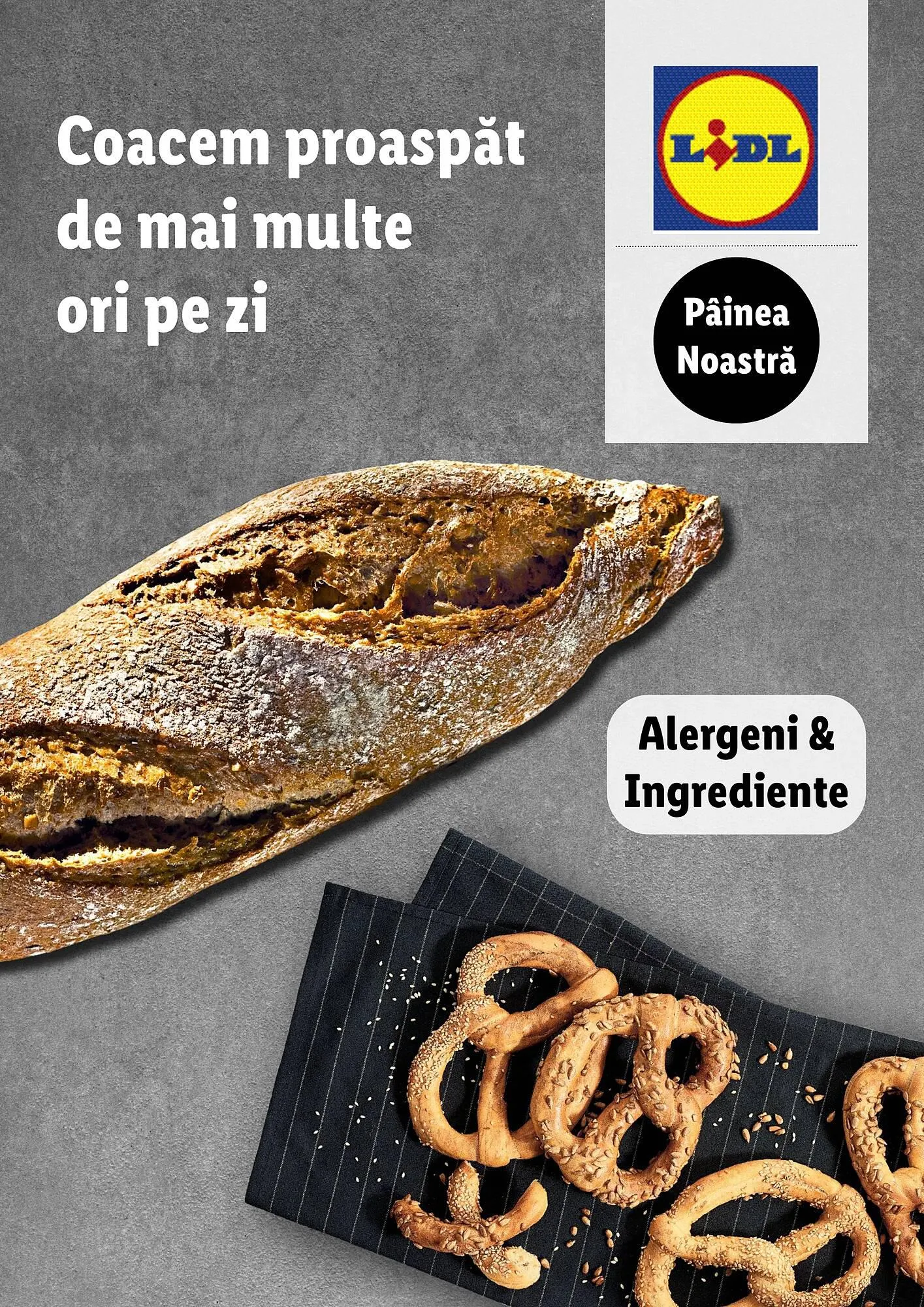 Catalog Lidl catalog de la 21 noiembrie până la 31 decembrie 2023 - Revista Pagina 1