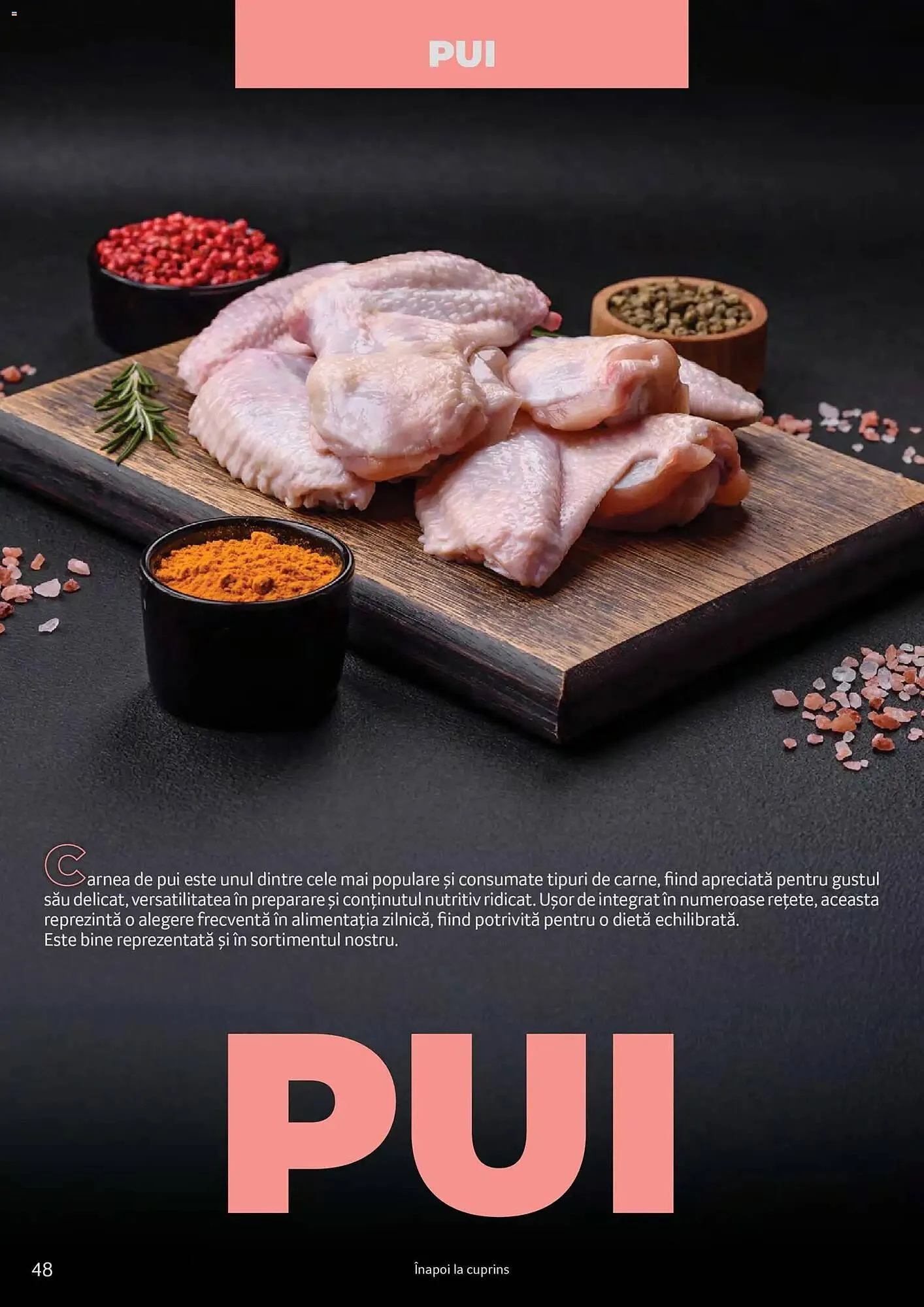 Catalog Catalog Selgros de la 24 martie până la 31 martie 2027 - Revista Pagina 48