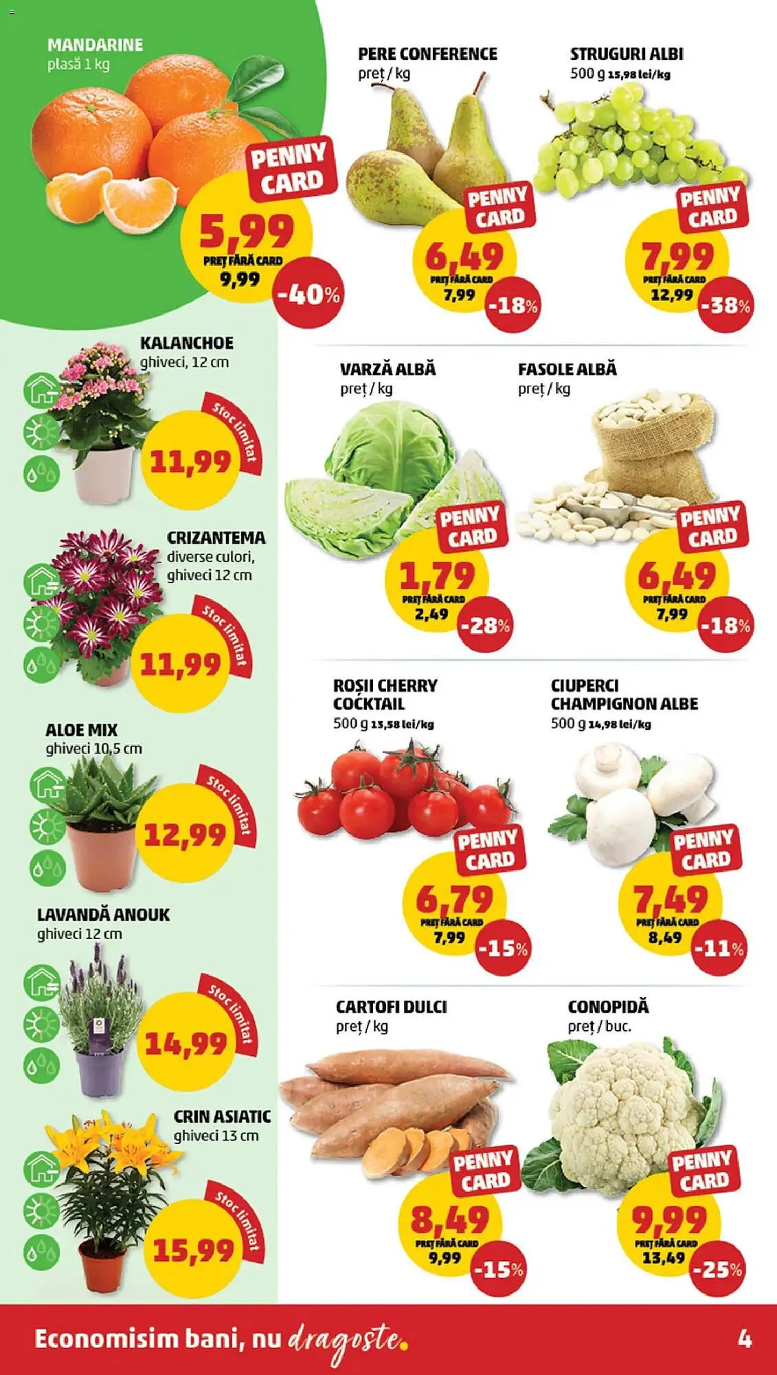 Catalog Catalog Penny de la 10 martie până la 17 martie 2026 - Revista Pagina 4
