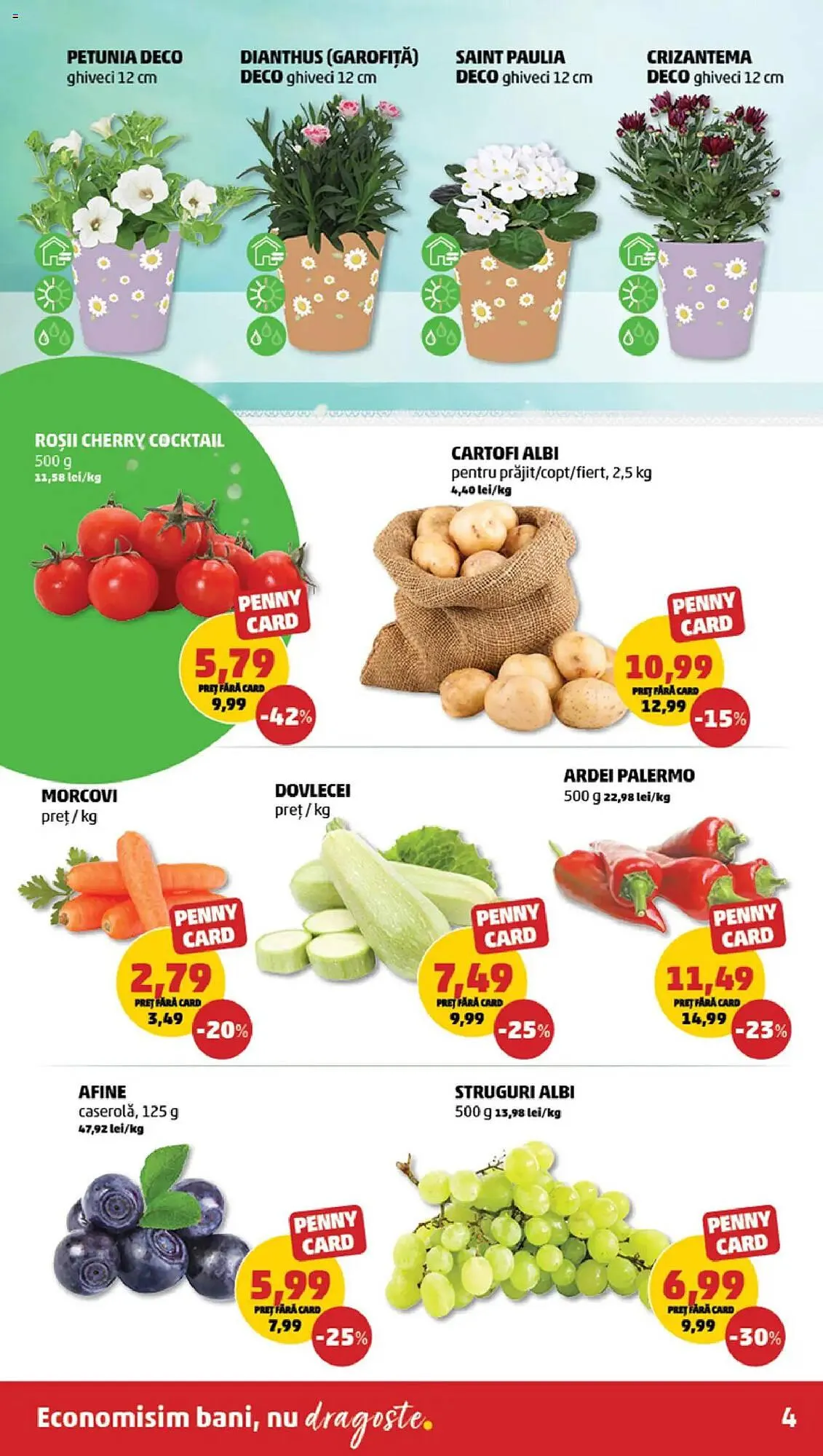 Catalog Catalog Penny de la 23 aprilie până la 29 aprilie 2025 - Revista Pagina 4