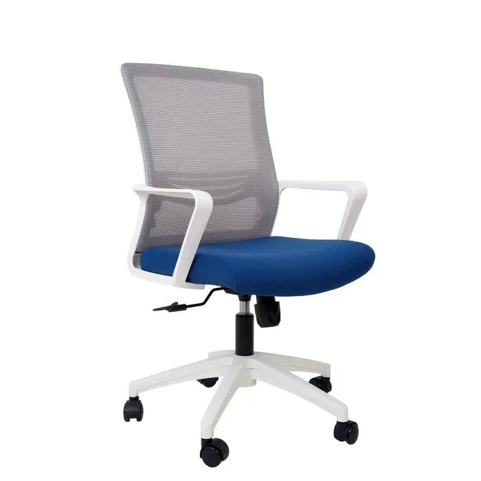 Scaun birou ergonomic Paris A, rotativ, stofa + mesh, gri deschis + albastru