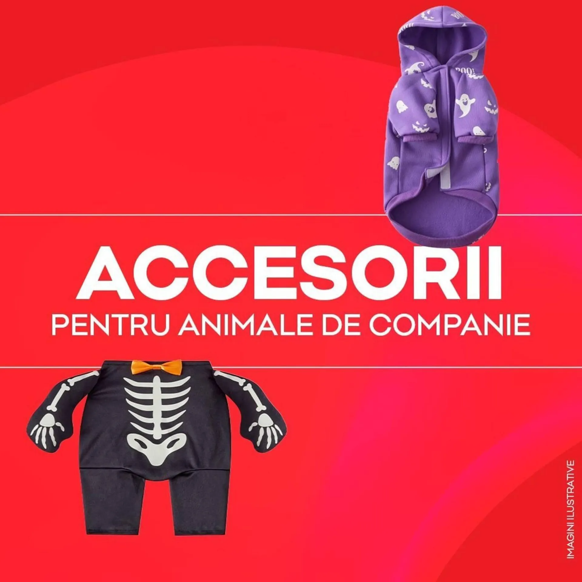 Catalog Catalog Pepco de la 21 octombrie până la 3 noiembrie 2025 - Revista Pagina 4