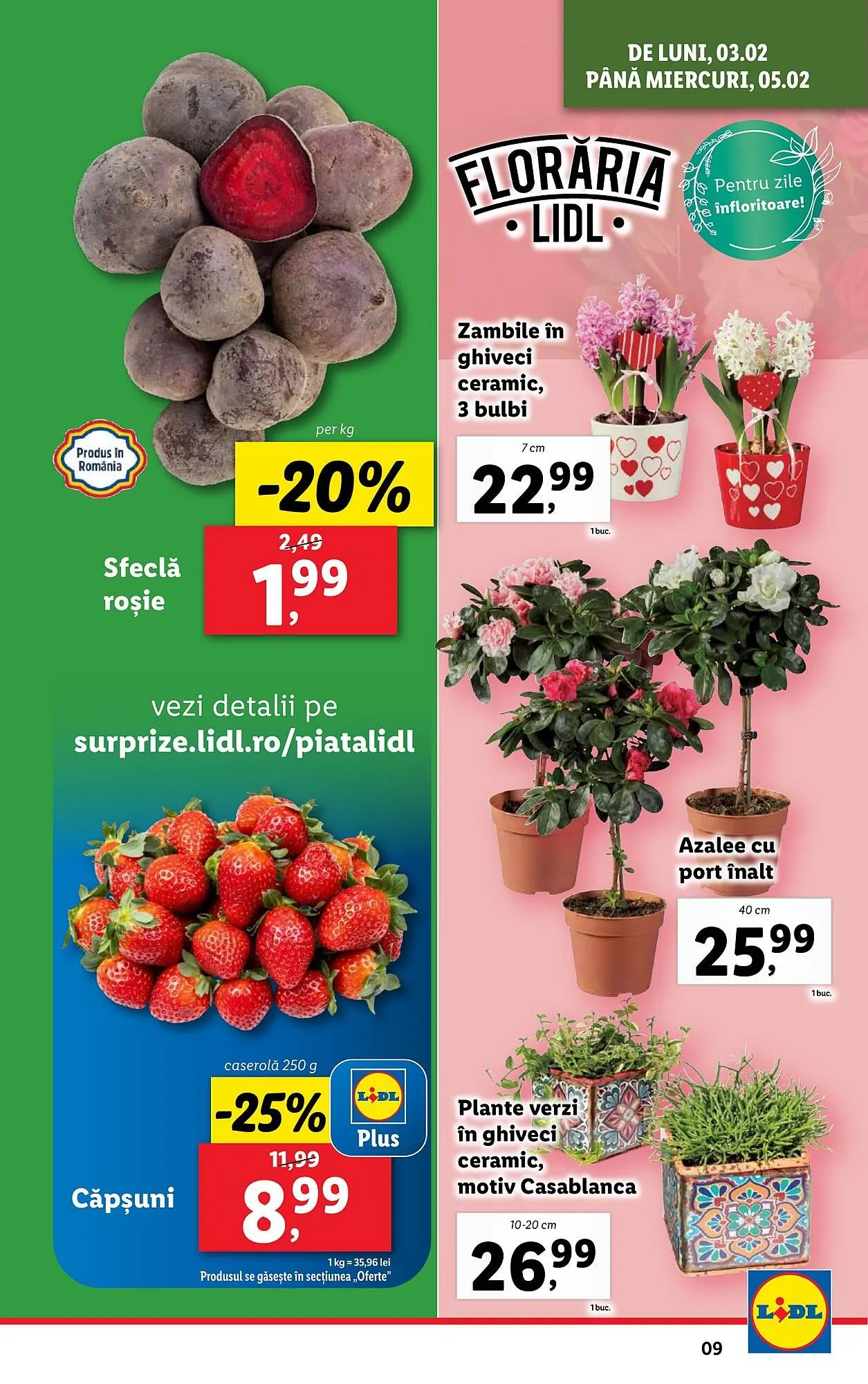 Catalog Catalog Lidl de la 3 februarie până la 9 februarie 2025 - Revista Pagina 9