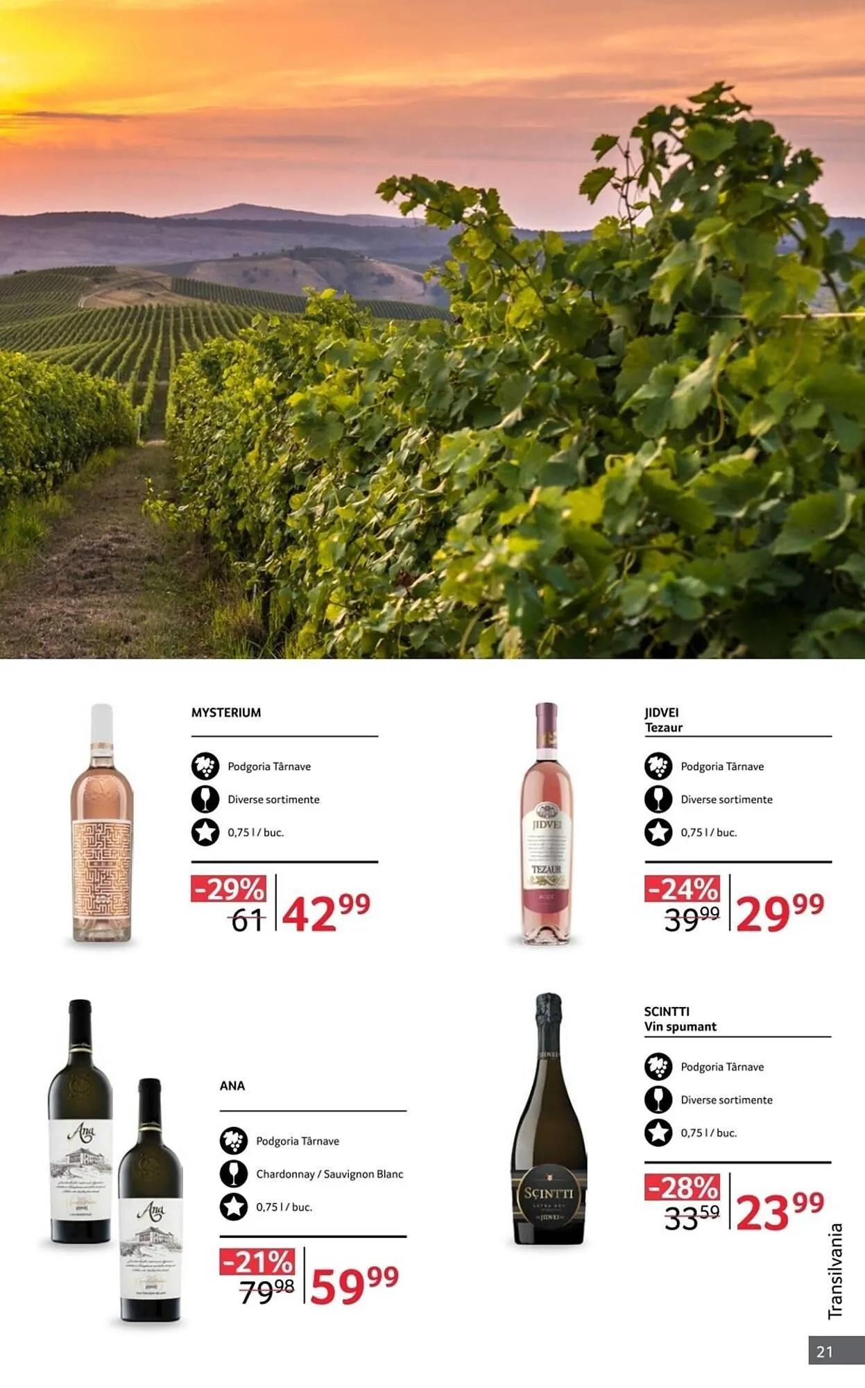 Catalog Catalog Selgros de la 1 octombrie până la 31 octombrie 2025 - Revista Pagina 21