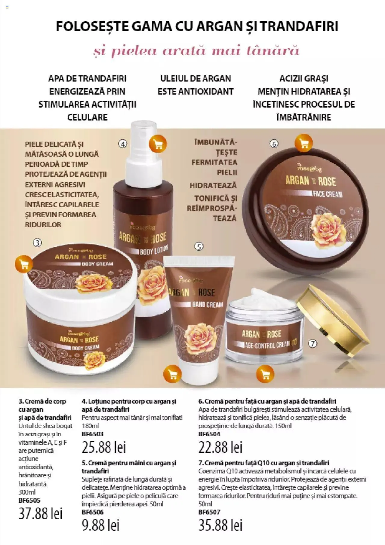 Catalog Catalog Lady’s de la 1 iulie până la 31 decembrie 2023 - Revista Pagina 115