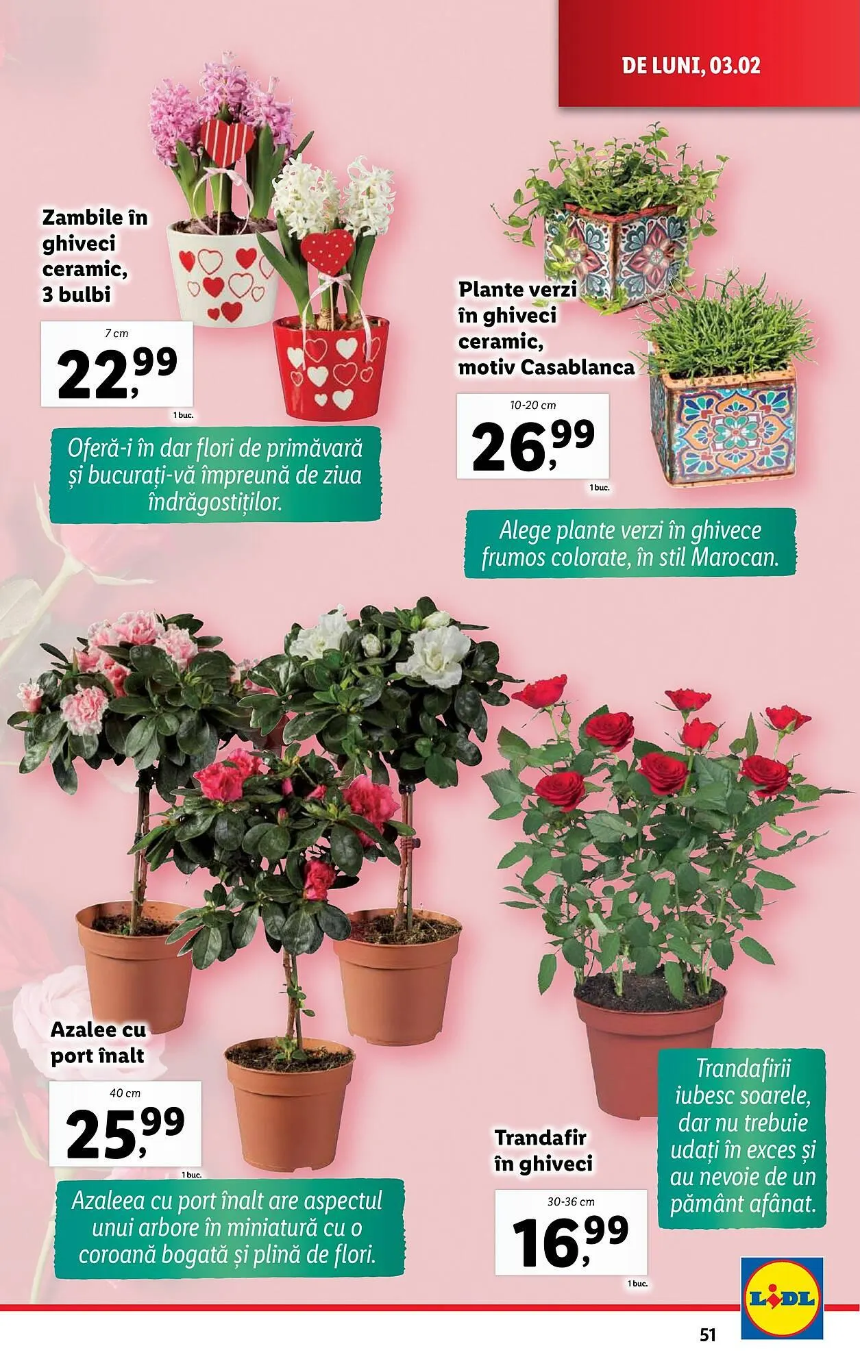 Catalog Catalog Lidl de la 3 februarie până la 9 februarie 2025 - Revista Pagina 51