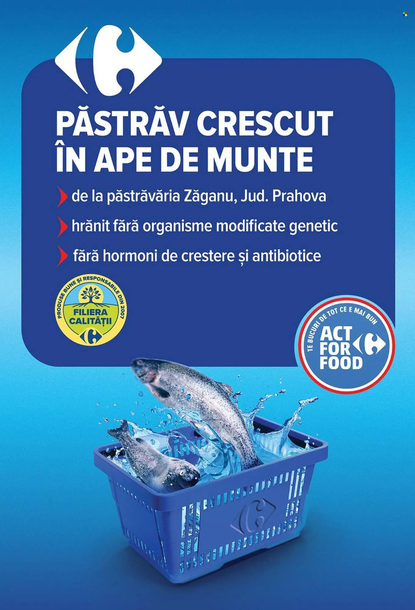 Catalog Catalog Carrefour de la 18 martie până la 24 martie 2026 - Revista Pagina 13