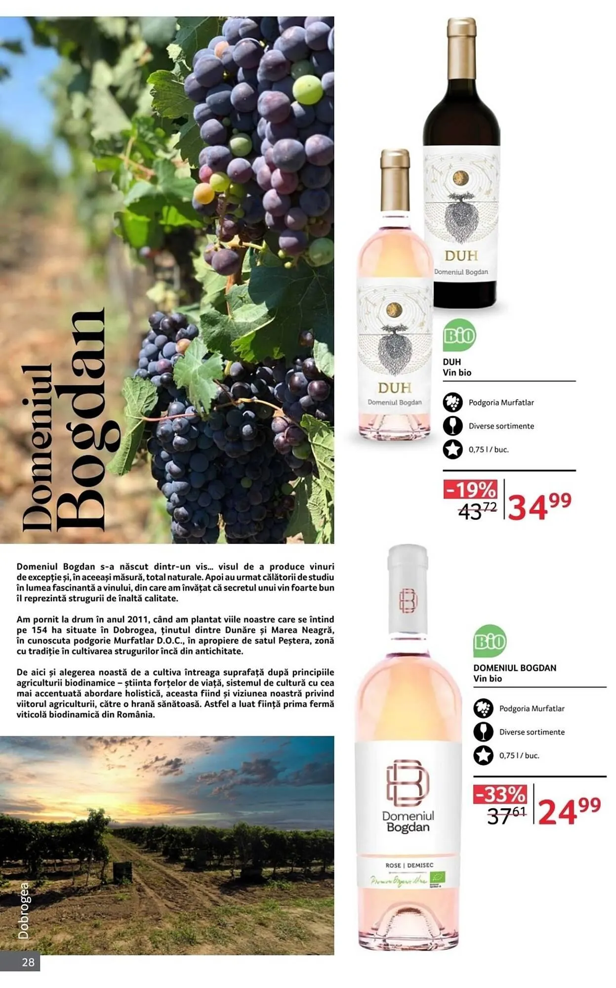 Catalog Catalog Selgros de la 1 octombrie până la 31 octombrie 2025 - Revista Pagina 28