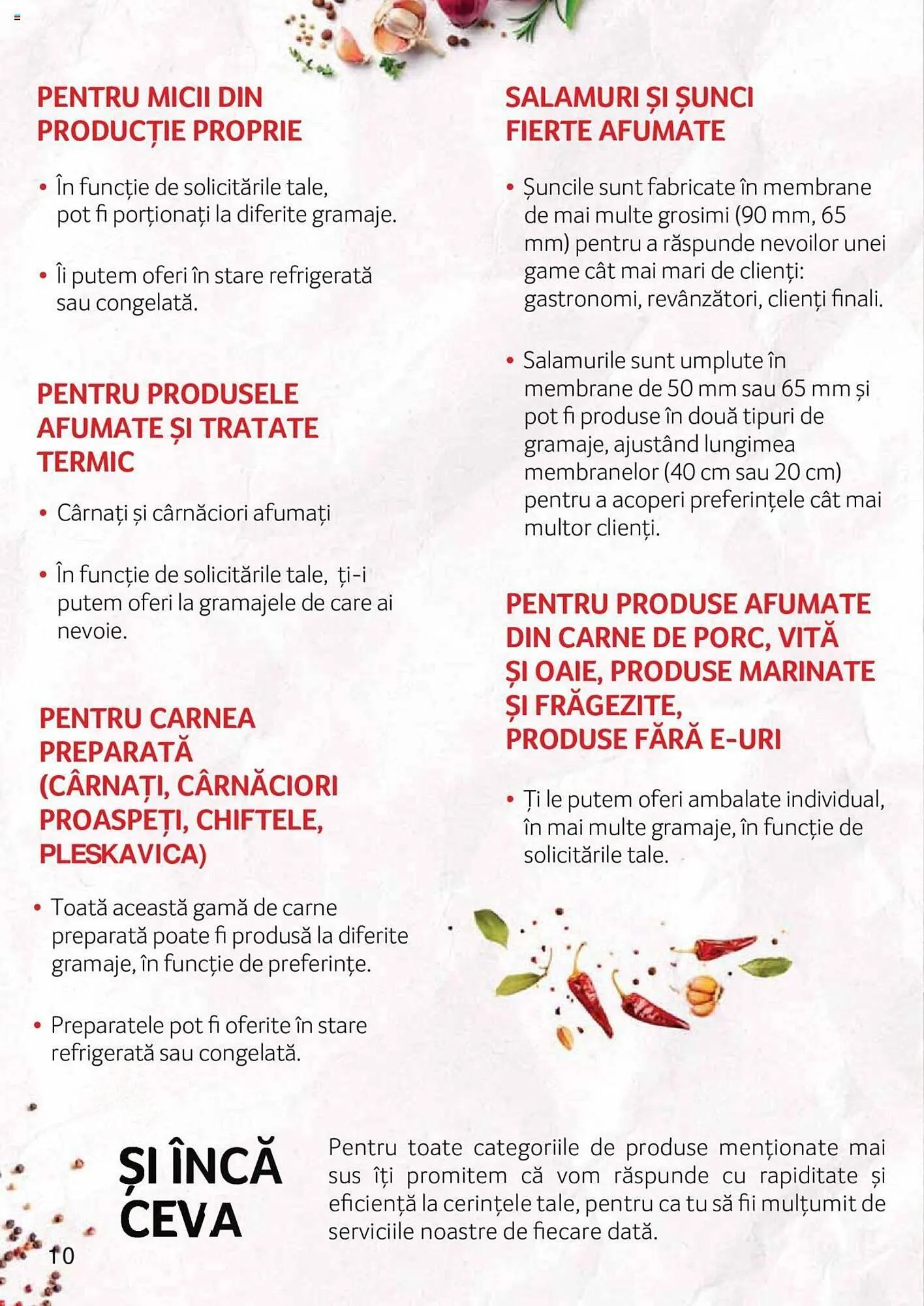 Catalog Selgros catalog de la 27 aprilie până la 31 decembrie 2023 - Revista Pagina 10