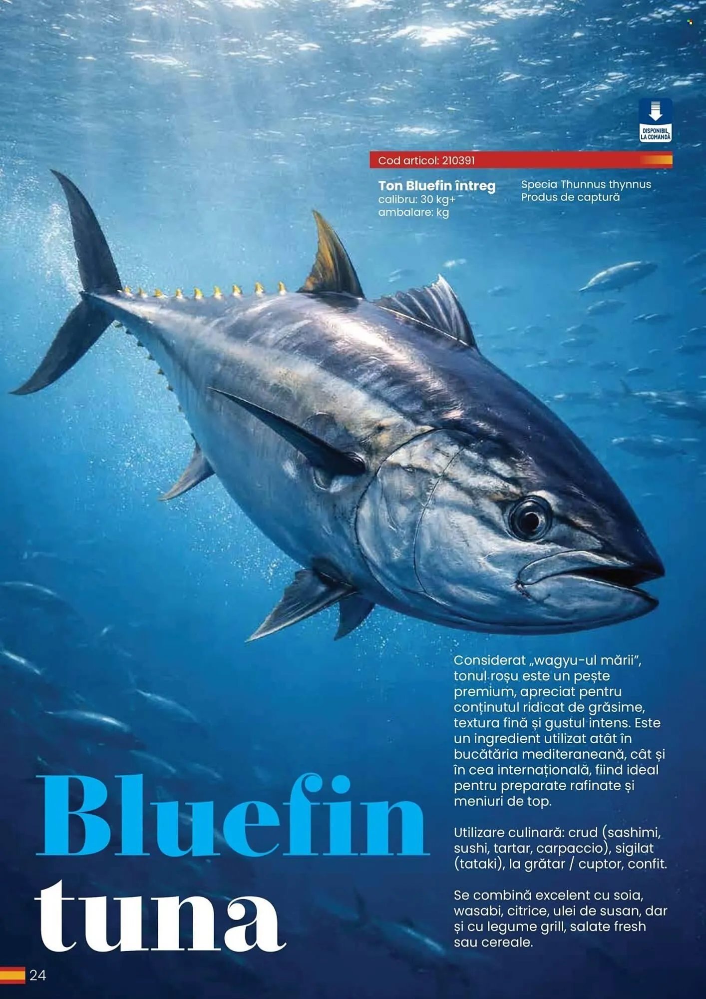 Catalog Catalog Metro de la 30 martie până la 31 decembrie 2026 - Revista Pagina 24