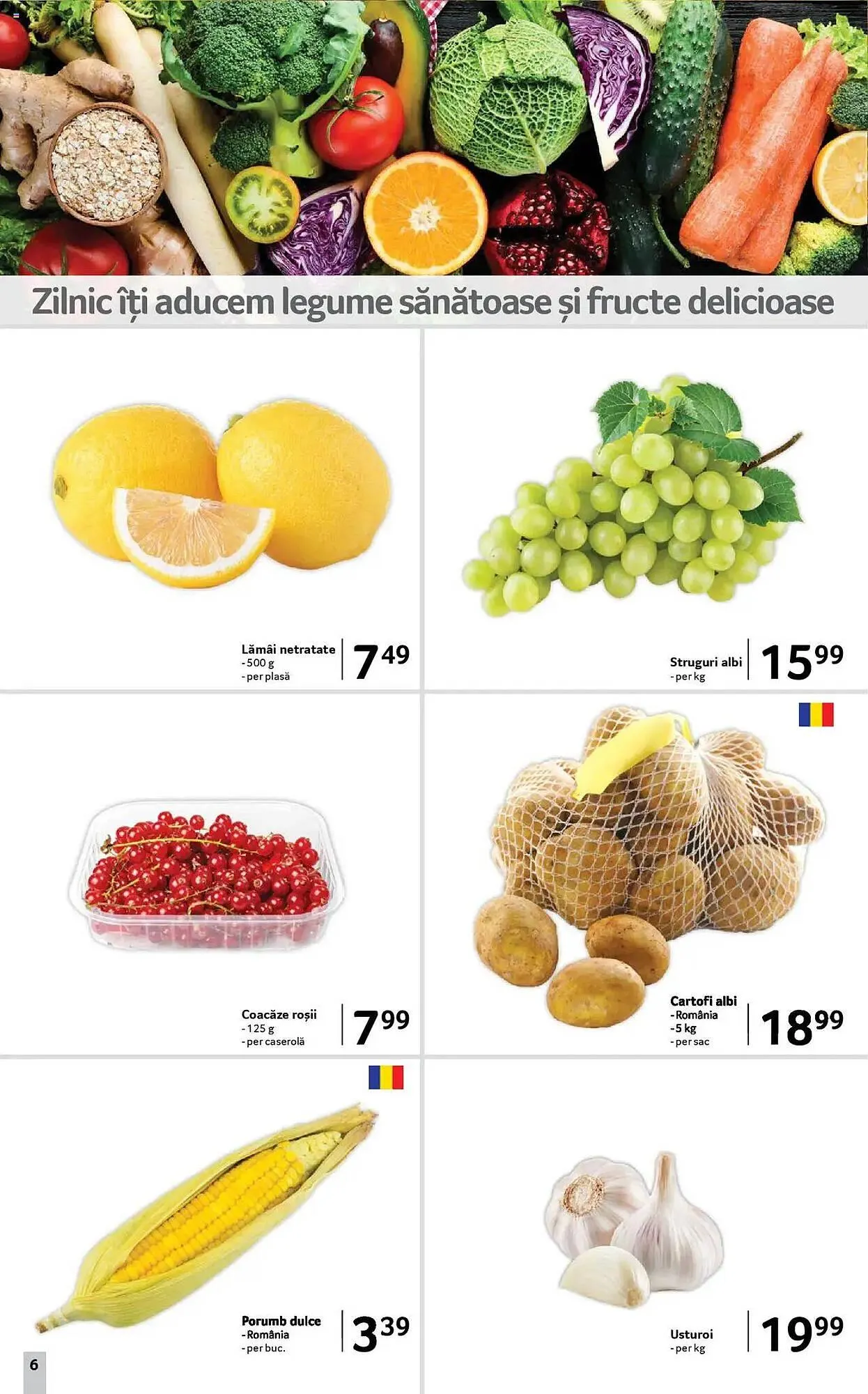 Catalog Catalog Selgros de la 27 iunie până la 10 iulie 2025 - Revista Pagina 6