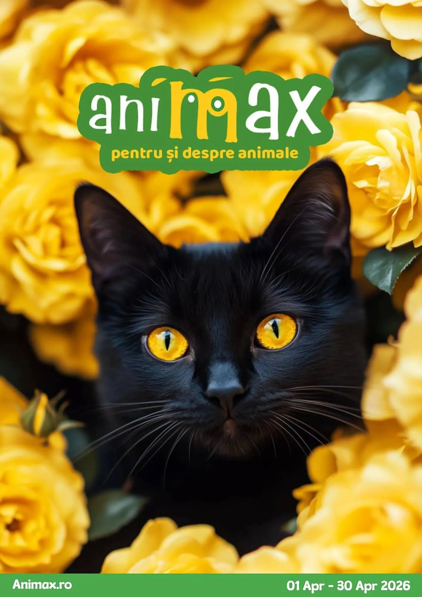 Catalog Magazine Animax de la 1 aprilie până la 30 aprilie 2026 - Revista Pagina 1