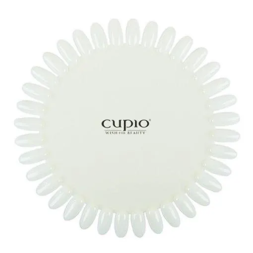 Paletar cu 36 pozitii