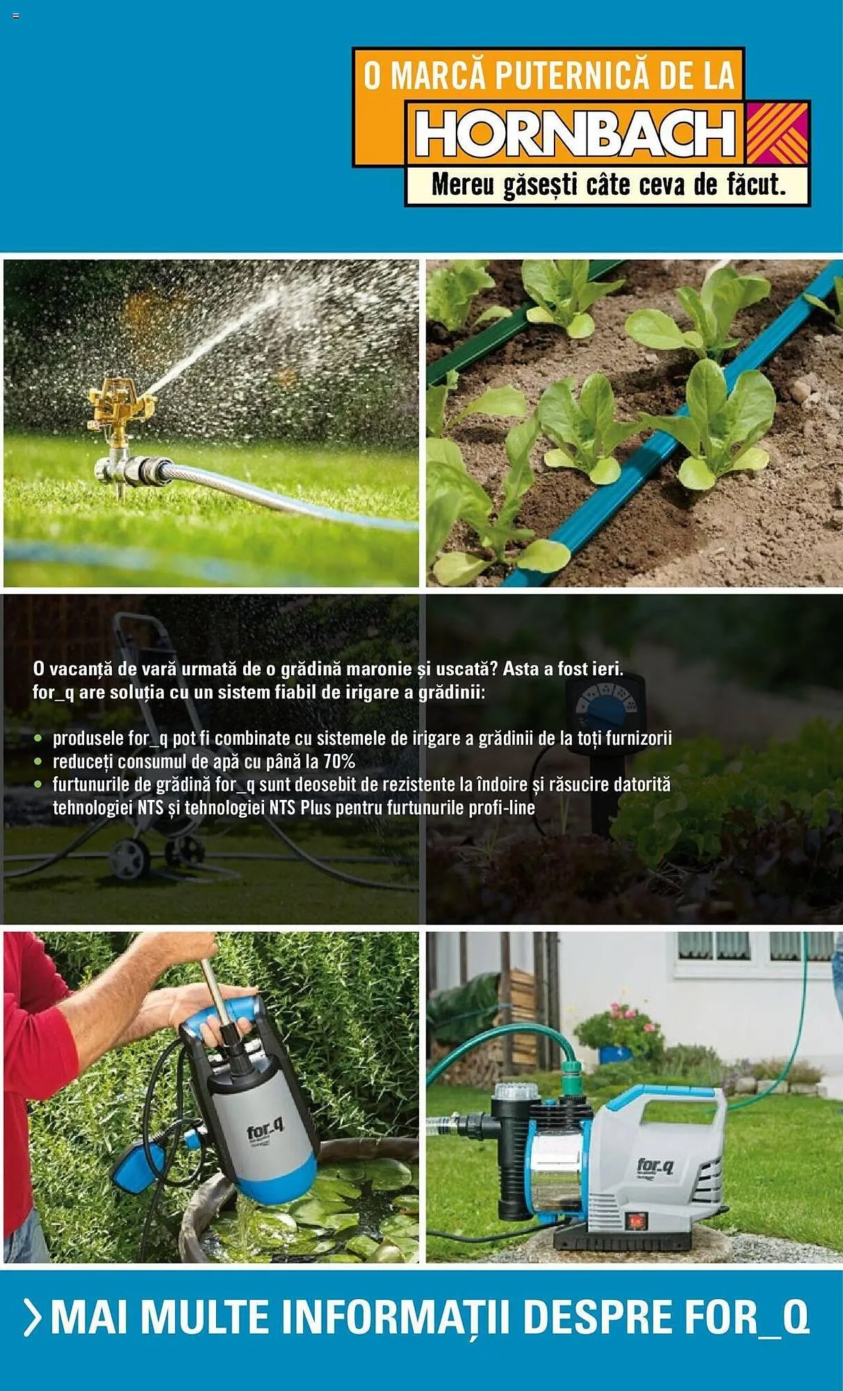 Catalog Сatalog Hornbach de la 22 aprilie până la 31 decembrie 2024 - Revista Pagina 17